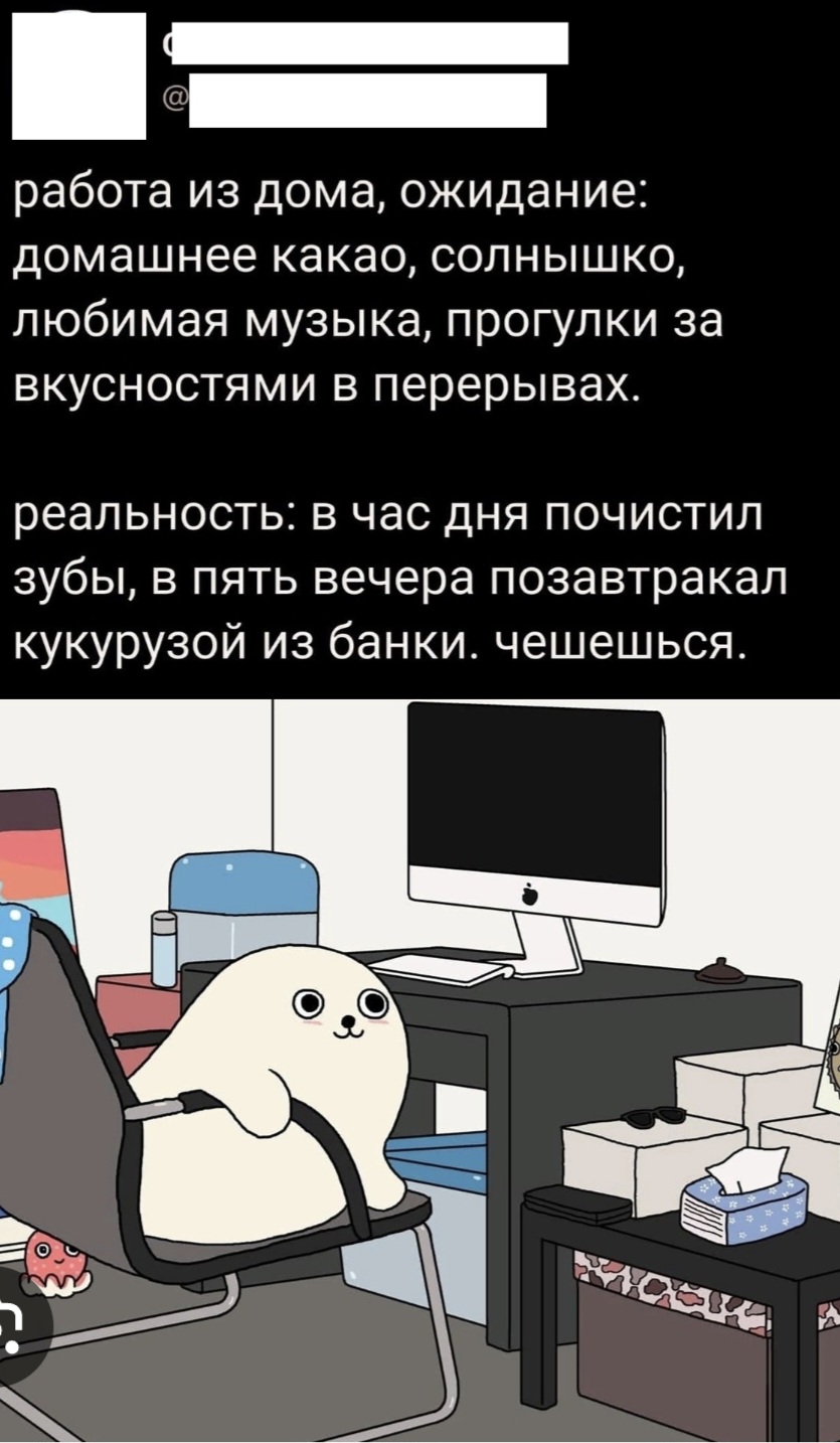 Какой ваш любимый мем про удаленку?