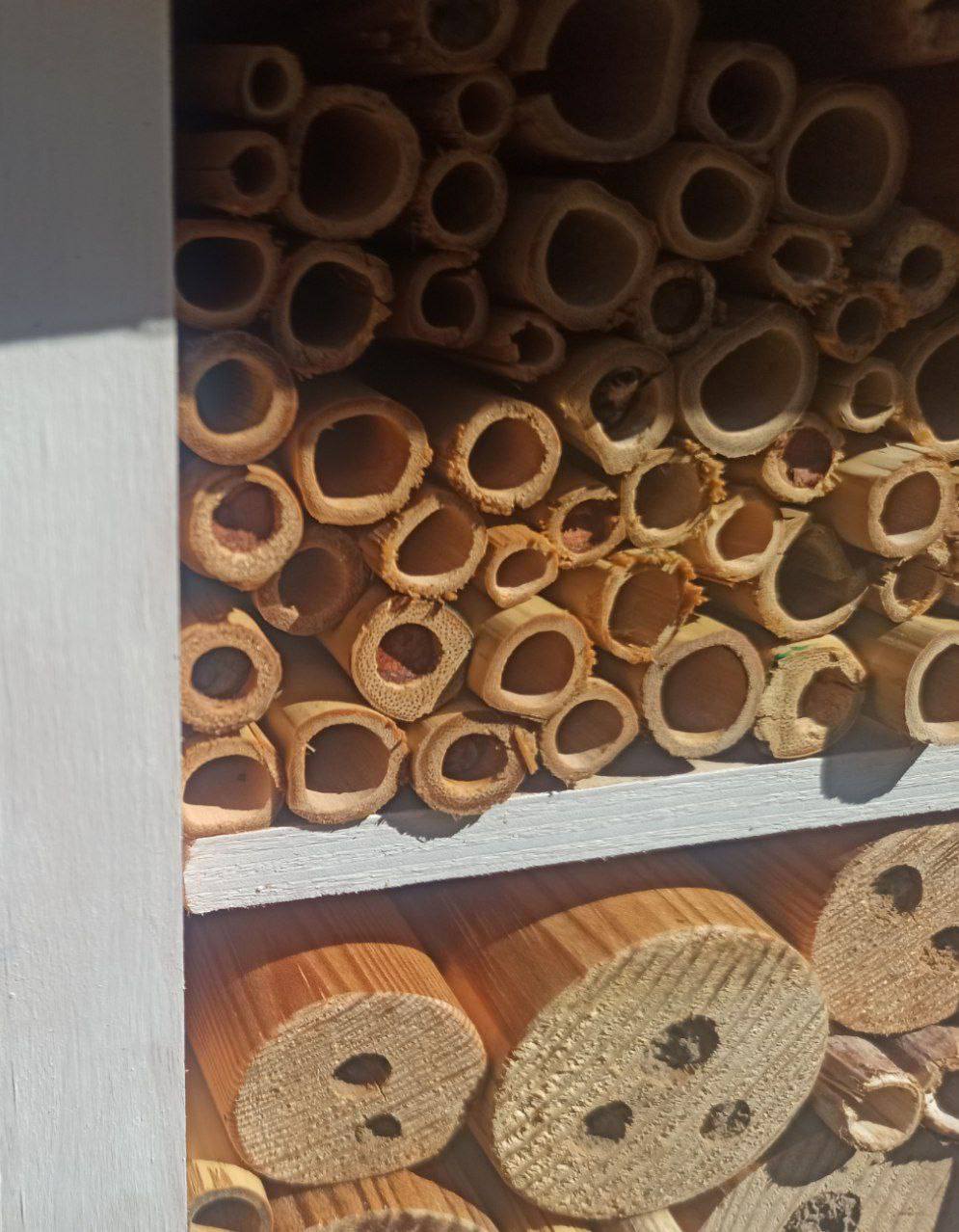 Как создать «гостиницу» для полезных насекомых