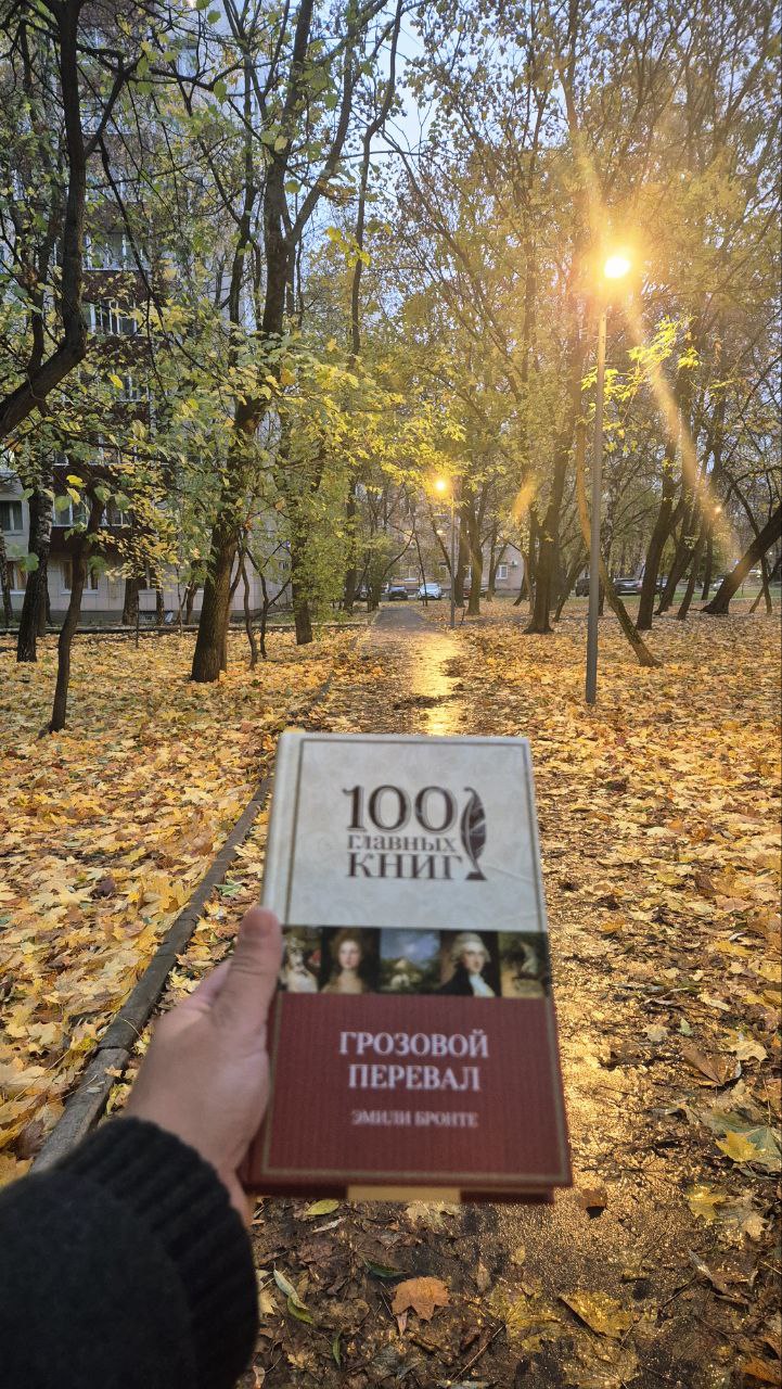 Эмоционально сложно, но оторваться невозможно: я прочла «Грозовой перевал»