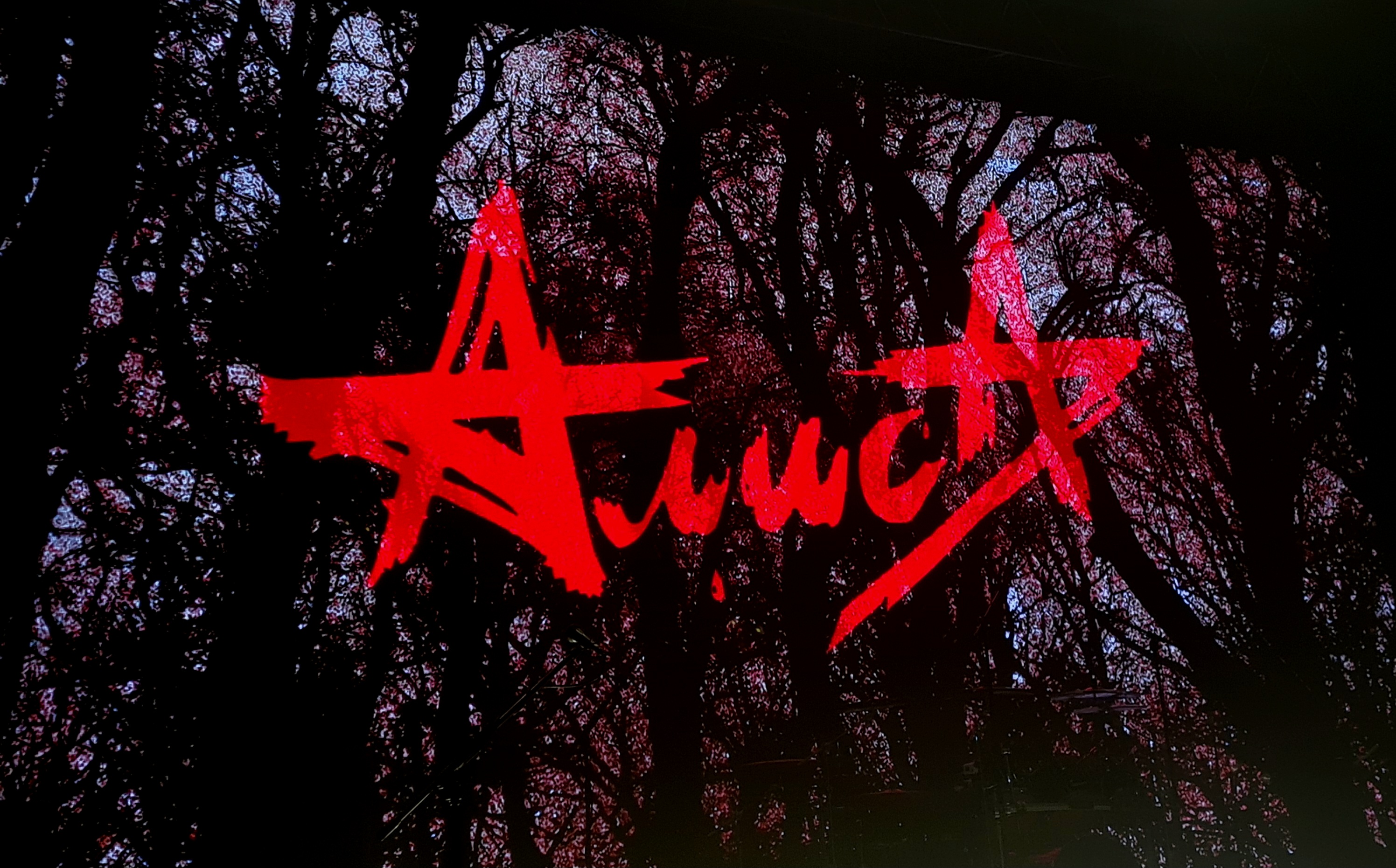 Я побывала на концерте группы «Алиса», посвященном 20-летию альбома «Изгой», в декабре 2025 года