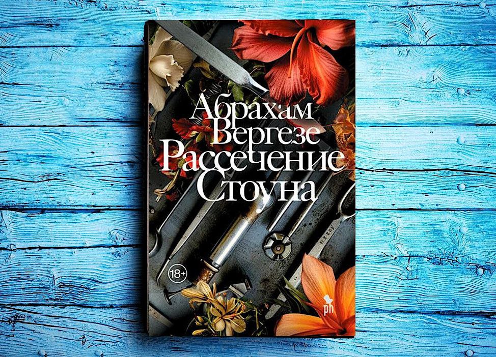 Одна из лучших книг месяца — «Рассечение Стоуна»