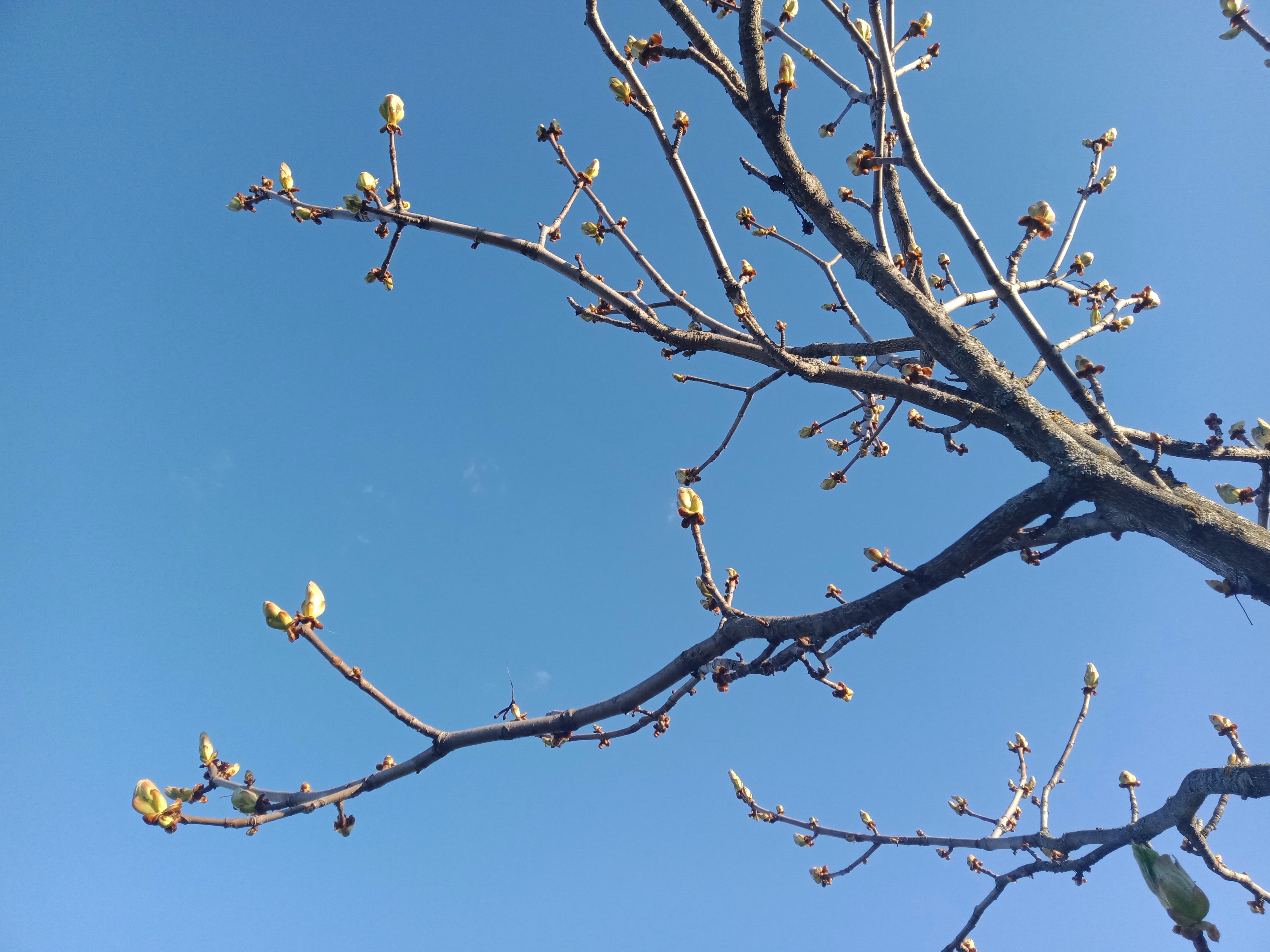 Рекомендую: творчество пяти современных поэтесс