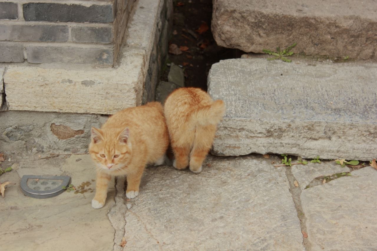 Прогулка по городу, лодочки и Великая Китайская стена: как мы провели день в Губее