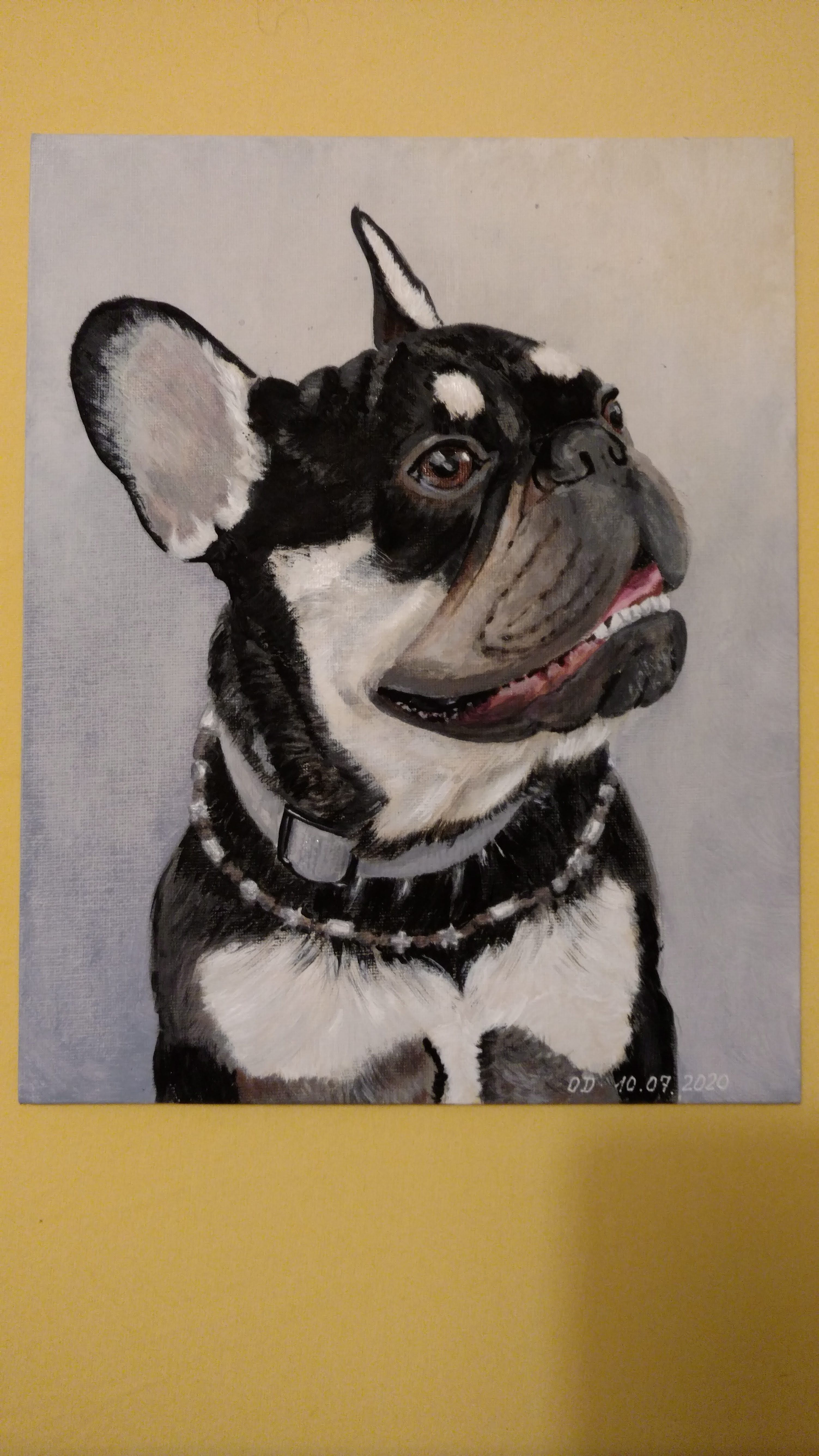 Мои рисунки: портреты животных