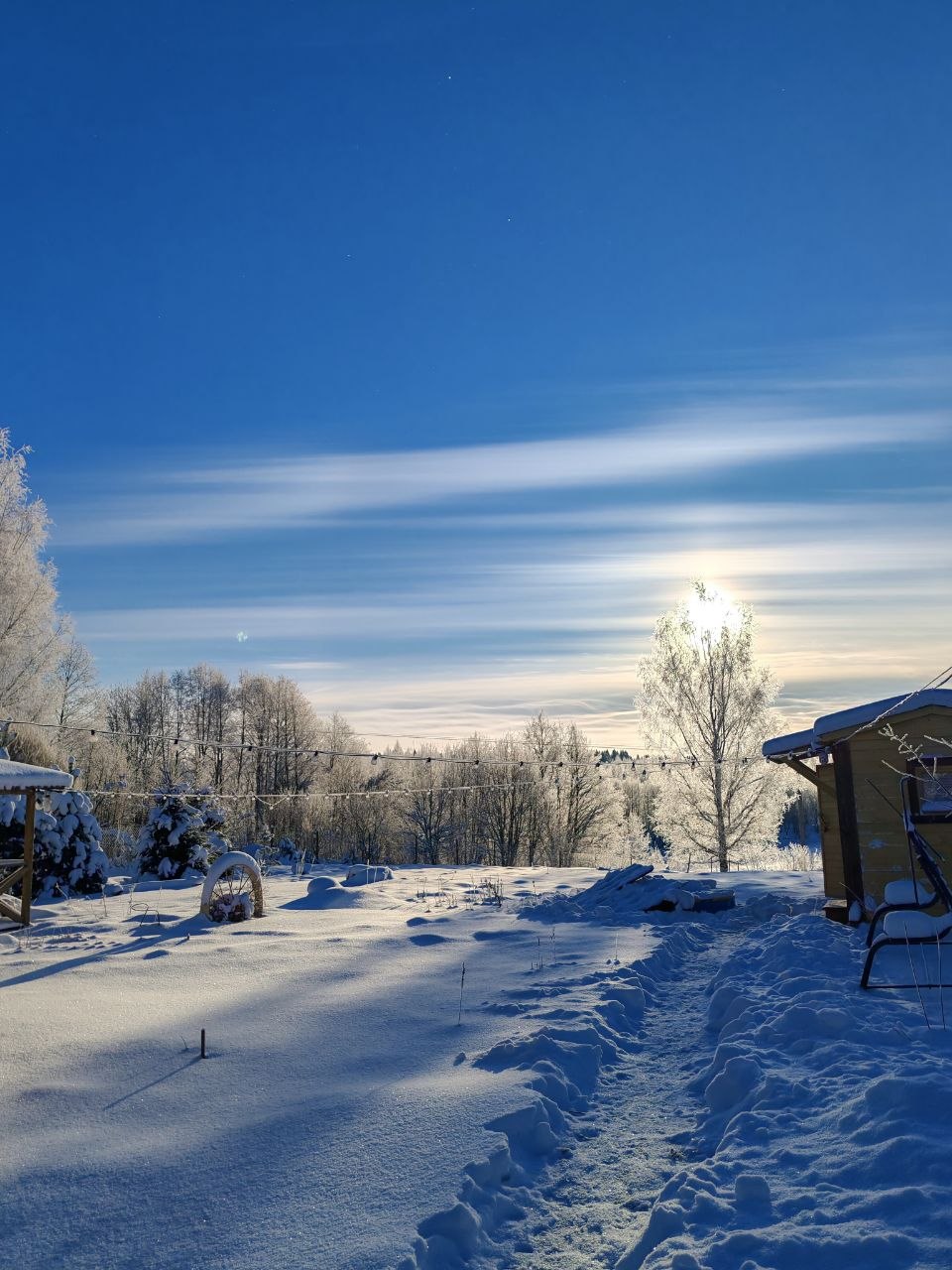 Как я оказалась в дачном рабстве — и мне это понравилось