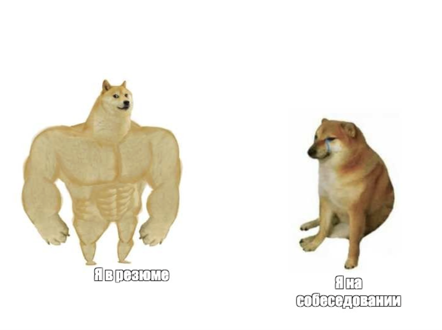 Собеседование как переговоры: как перестать бояться и начать диктовать свои условия