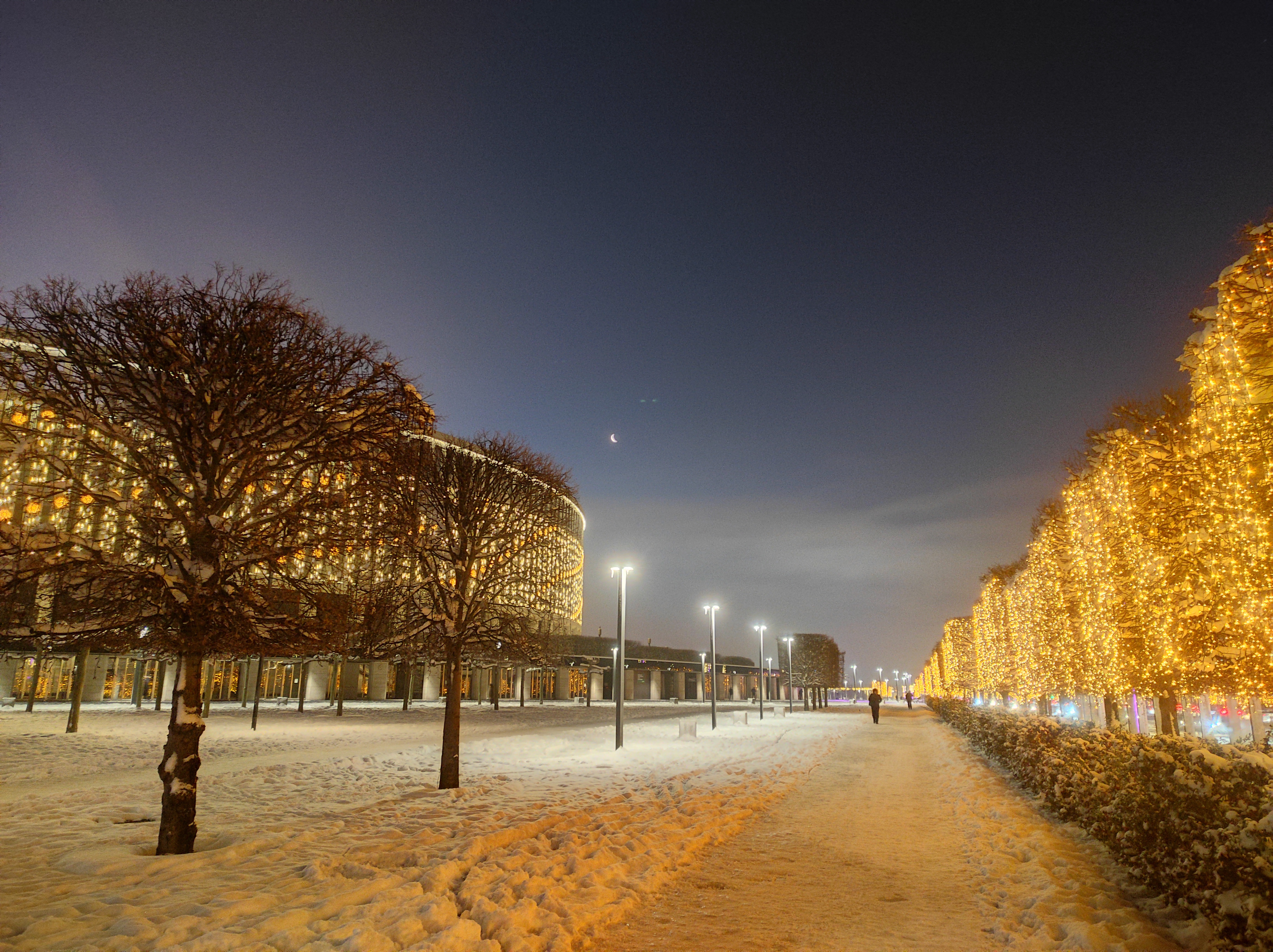 Мобильное фото: зимнее утро в парке Краснодар