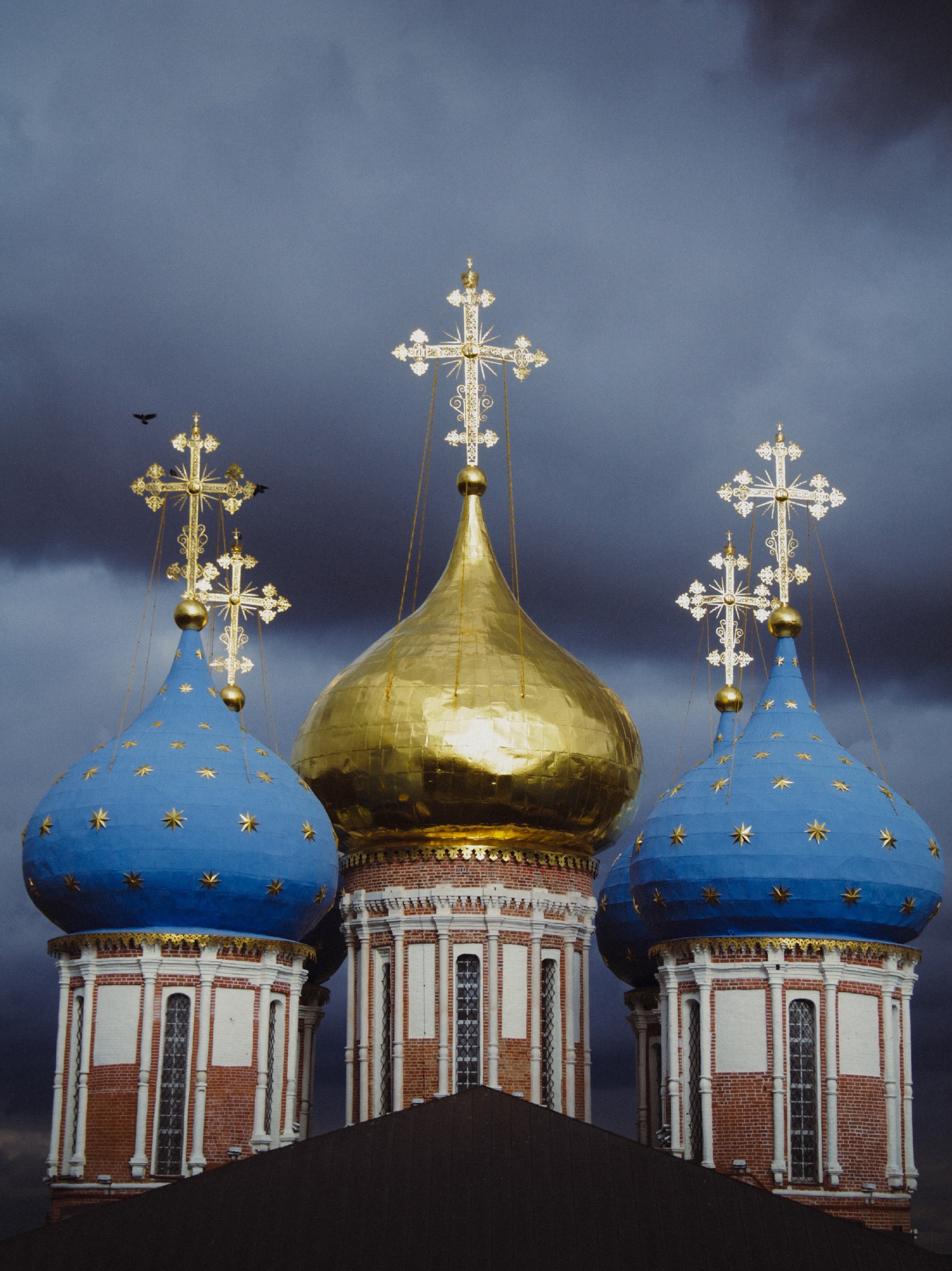 Фотоальбом: как мы съездили в Рязань в октябре 2025 года