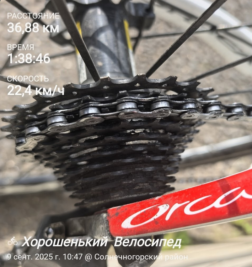 Как я совершил три ошибки за одну тренировку