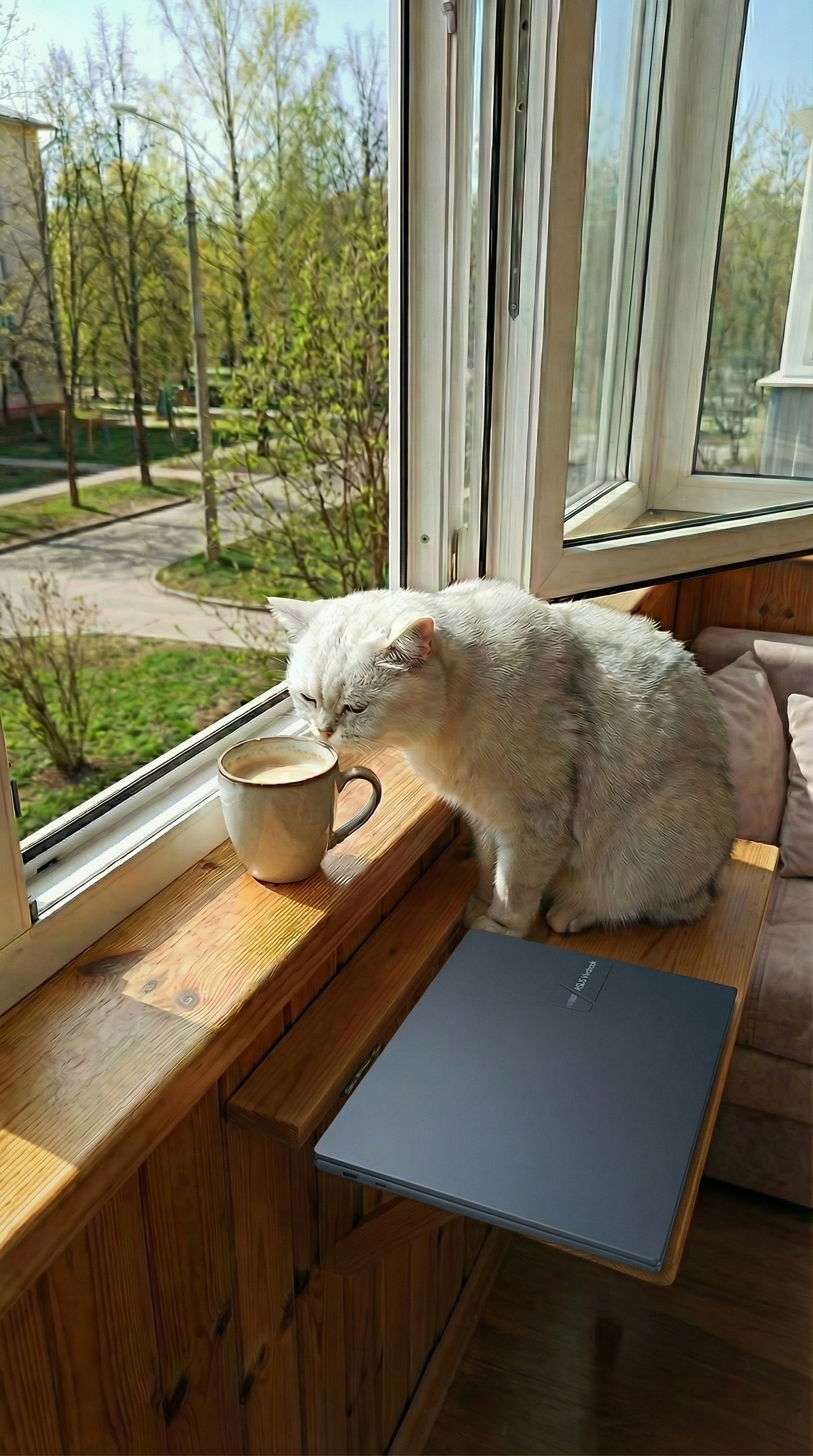 «Веселый ад»: мифы о материнстве и работе на удаленке