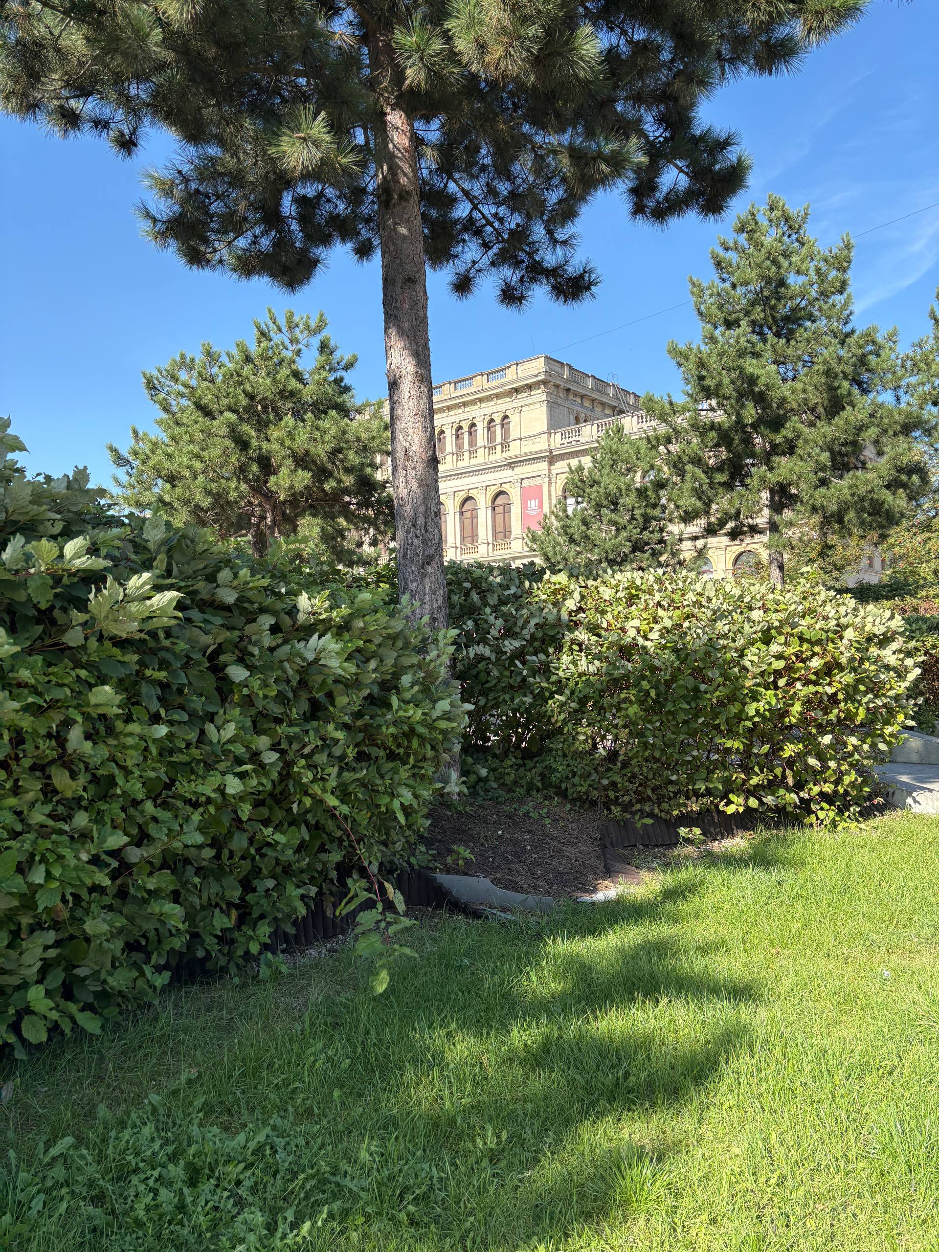 Маршрут «Калининград-Москва»: я переехала в мегаполис и теперь пожинаю плоды