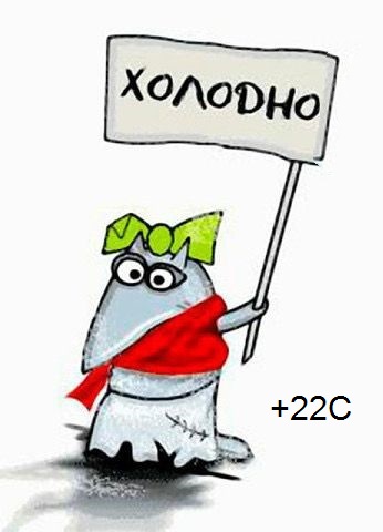 Мнение: мерзнуть в +22 — это признак проблем со здоровьем