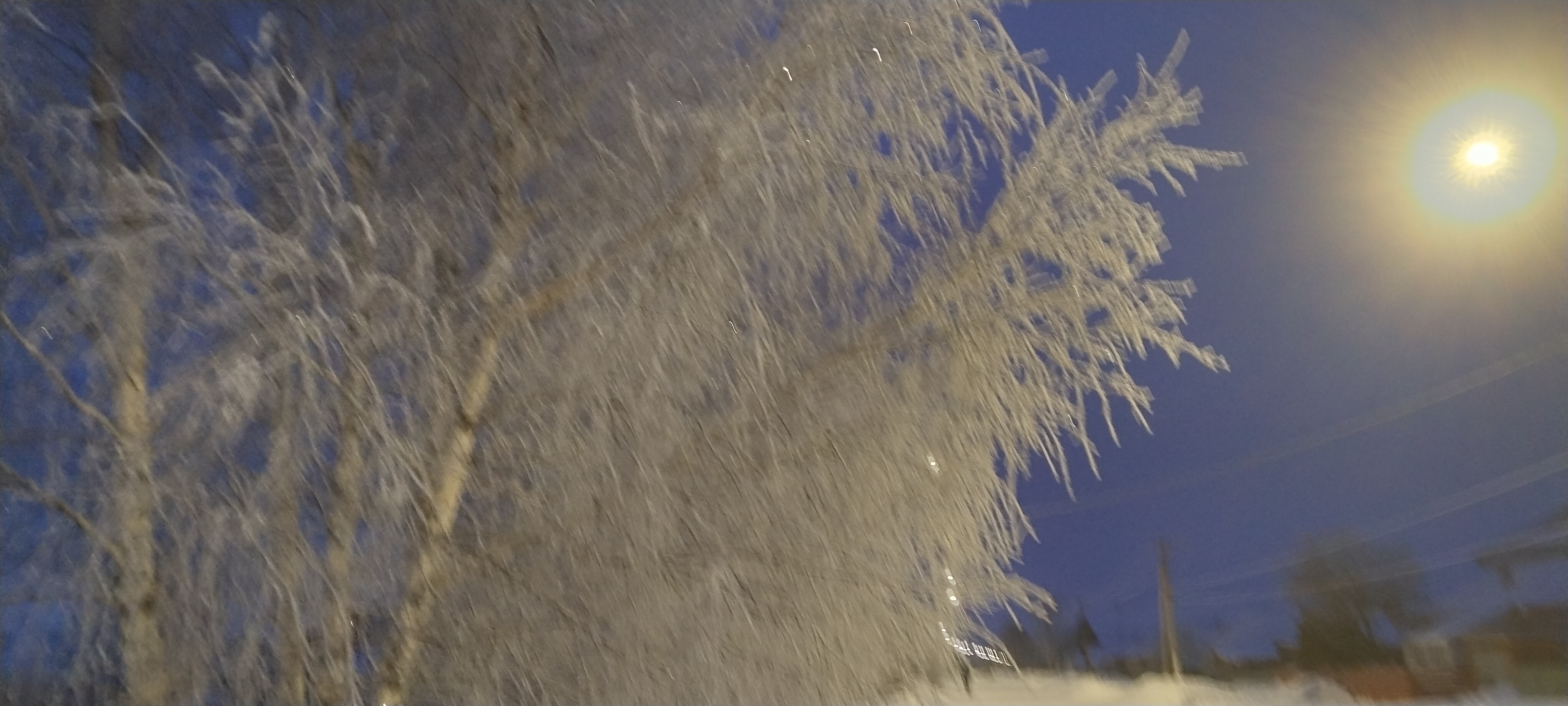 Мобильное фото: просто иней