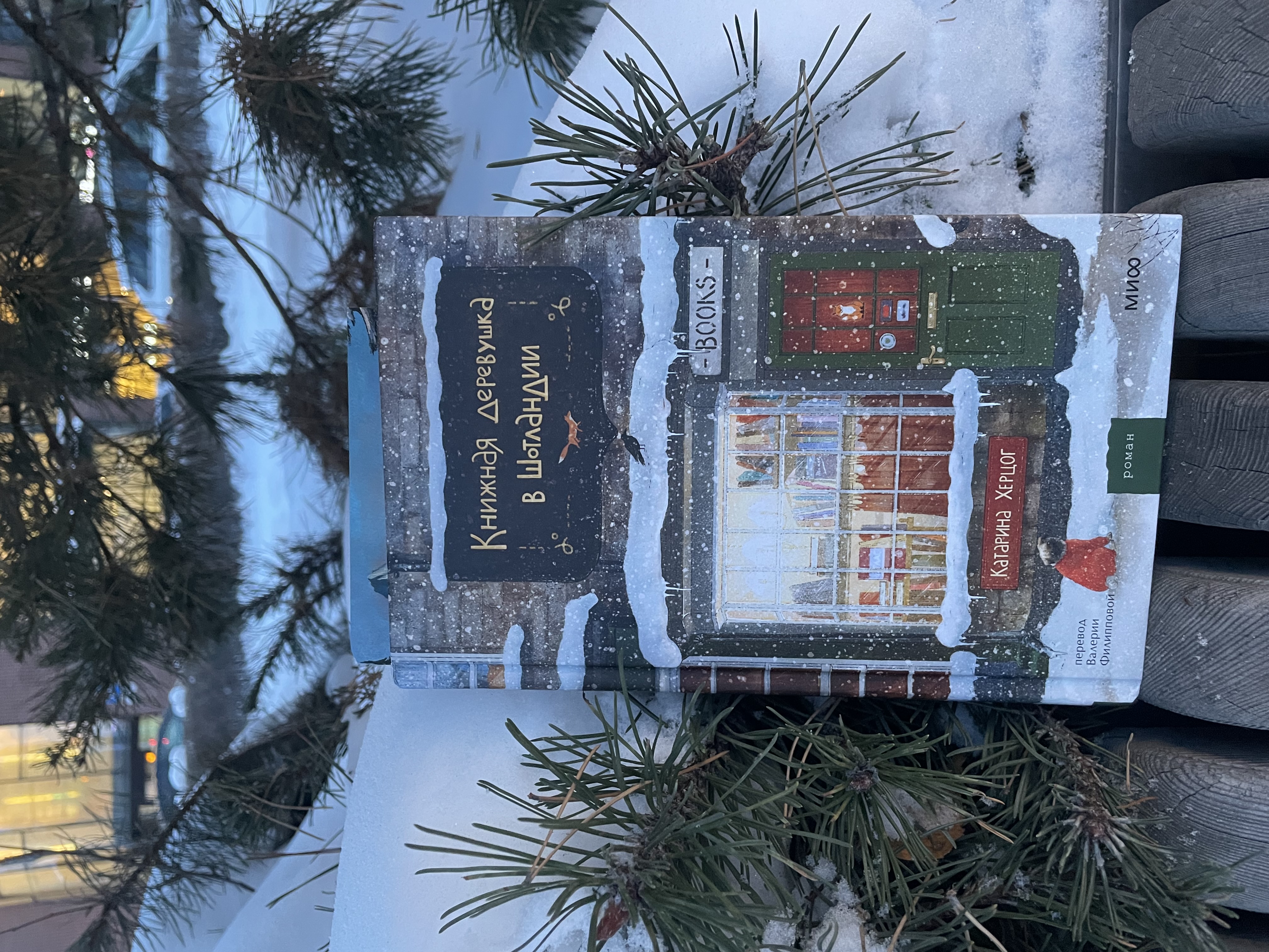 Рекомендую: «Книжная деревушка в Шотландии» Катарины Херцог