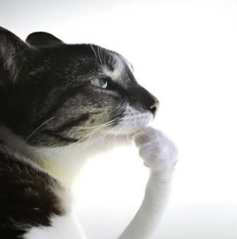 Как вы обрабатываете онлайн-заказы?