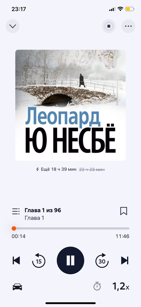 Добила цикл о Ю. Несбе, прочла комикс про музыку, перечитала книгу про магические граффити: итоги июля