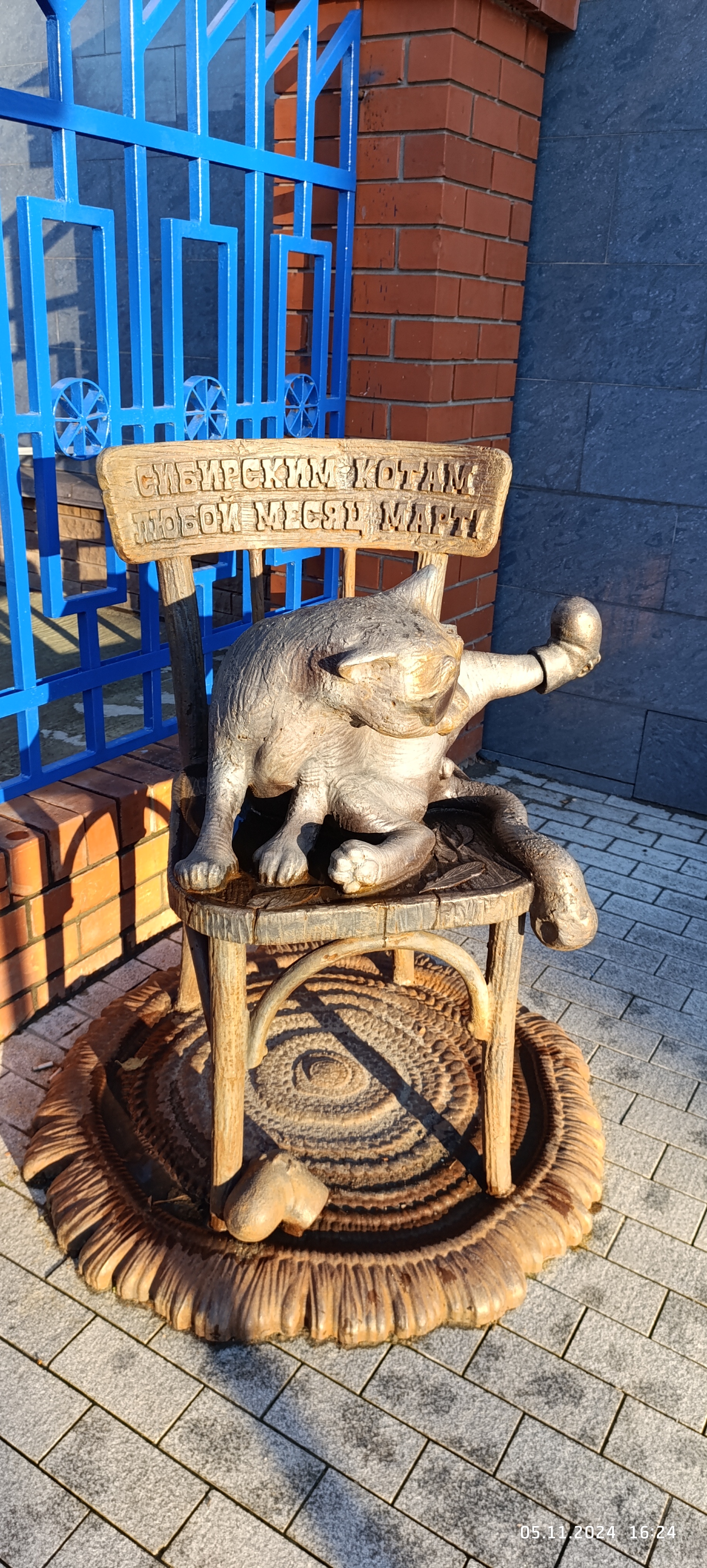 Игра света и тени: местная знаменитость — мартовский кот