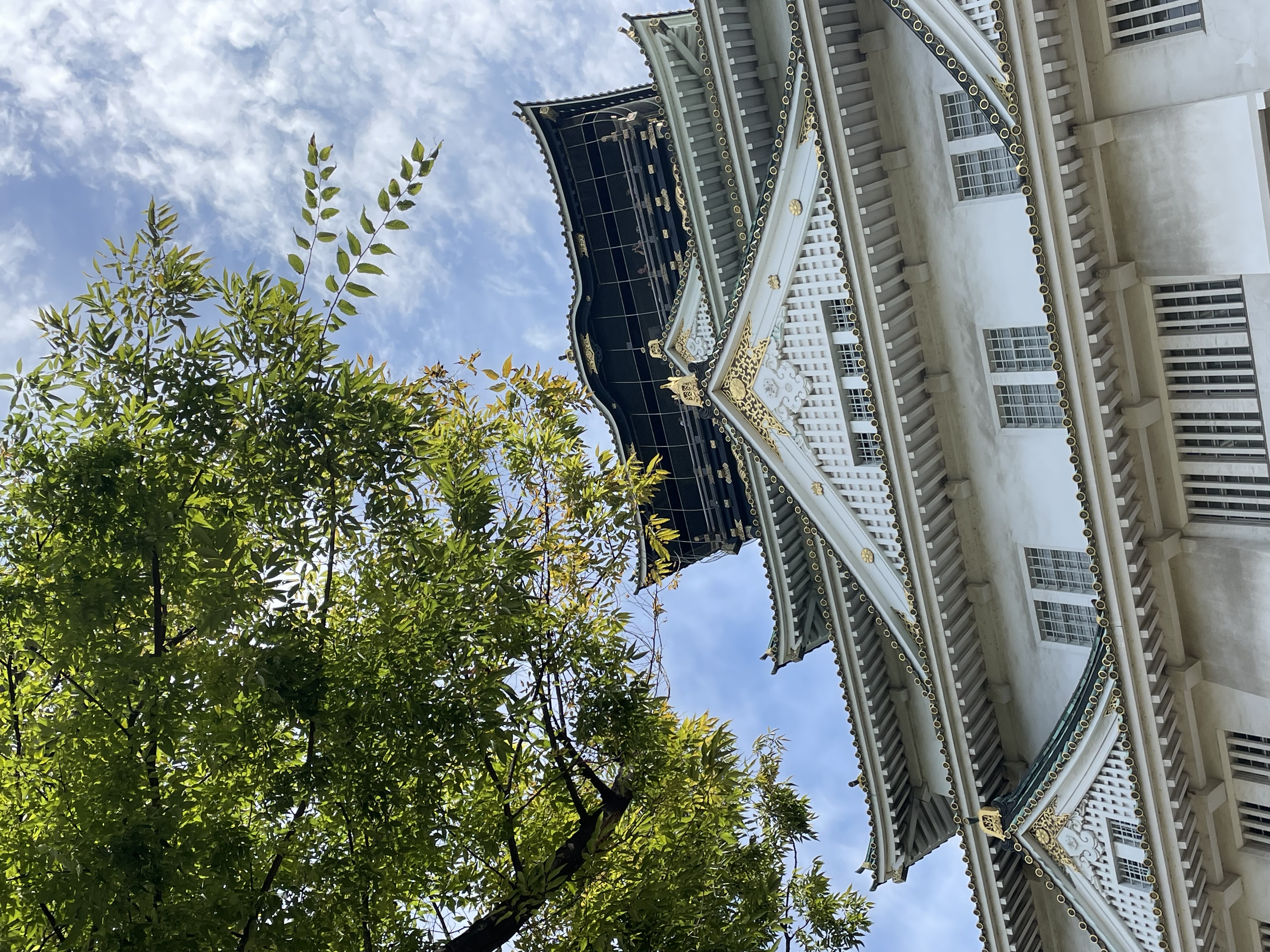 Как я съездила в соло-путешествие в Японию на 8 дней за 1 082 $