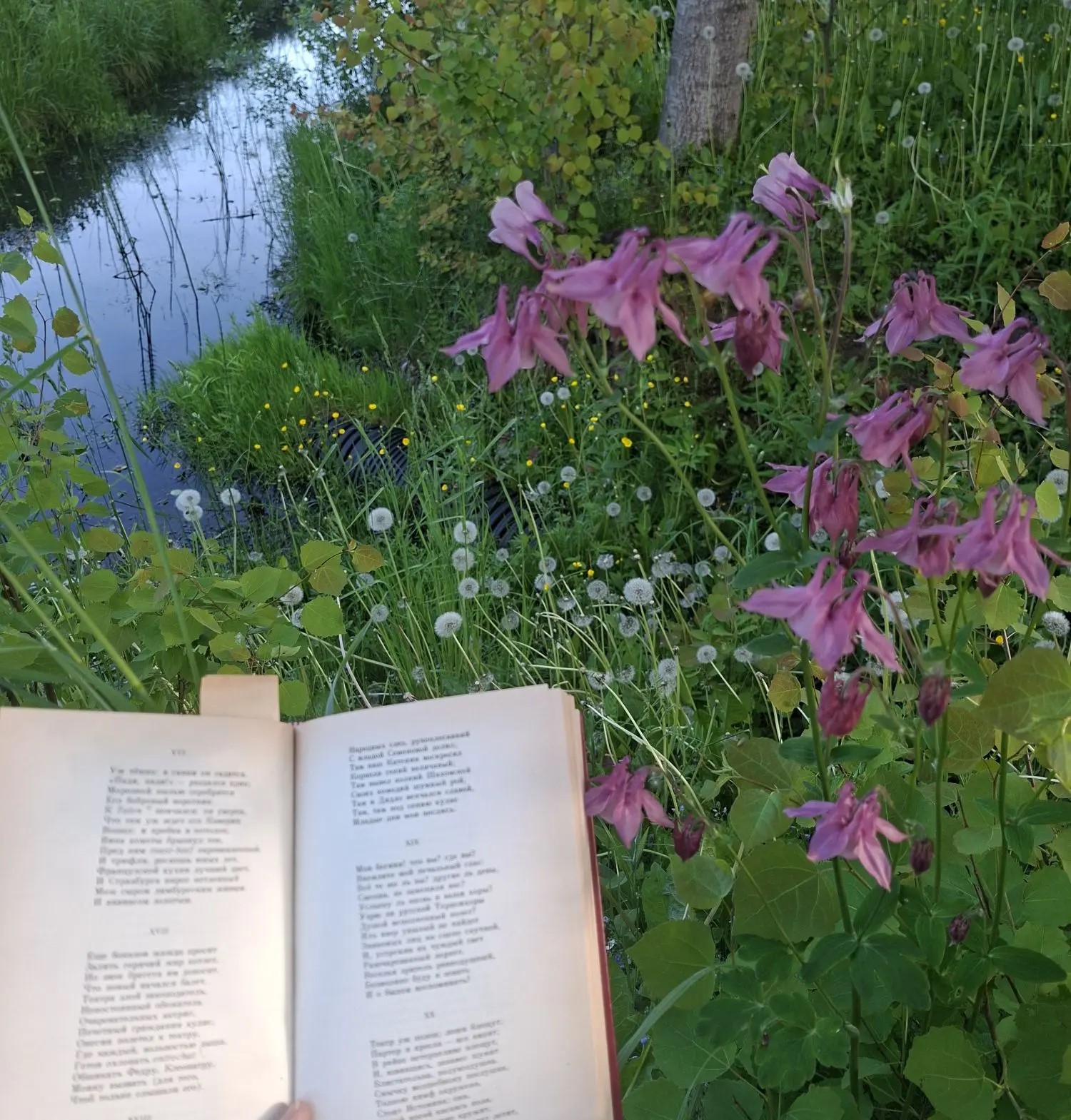 Мой май: пленники, кладбища, погибшие и желание приучить к таким книгам детей