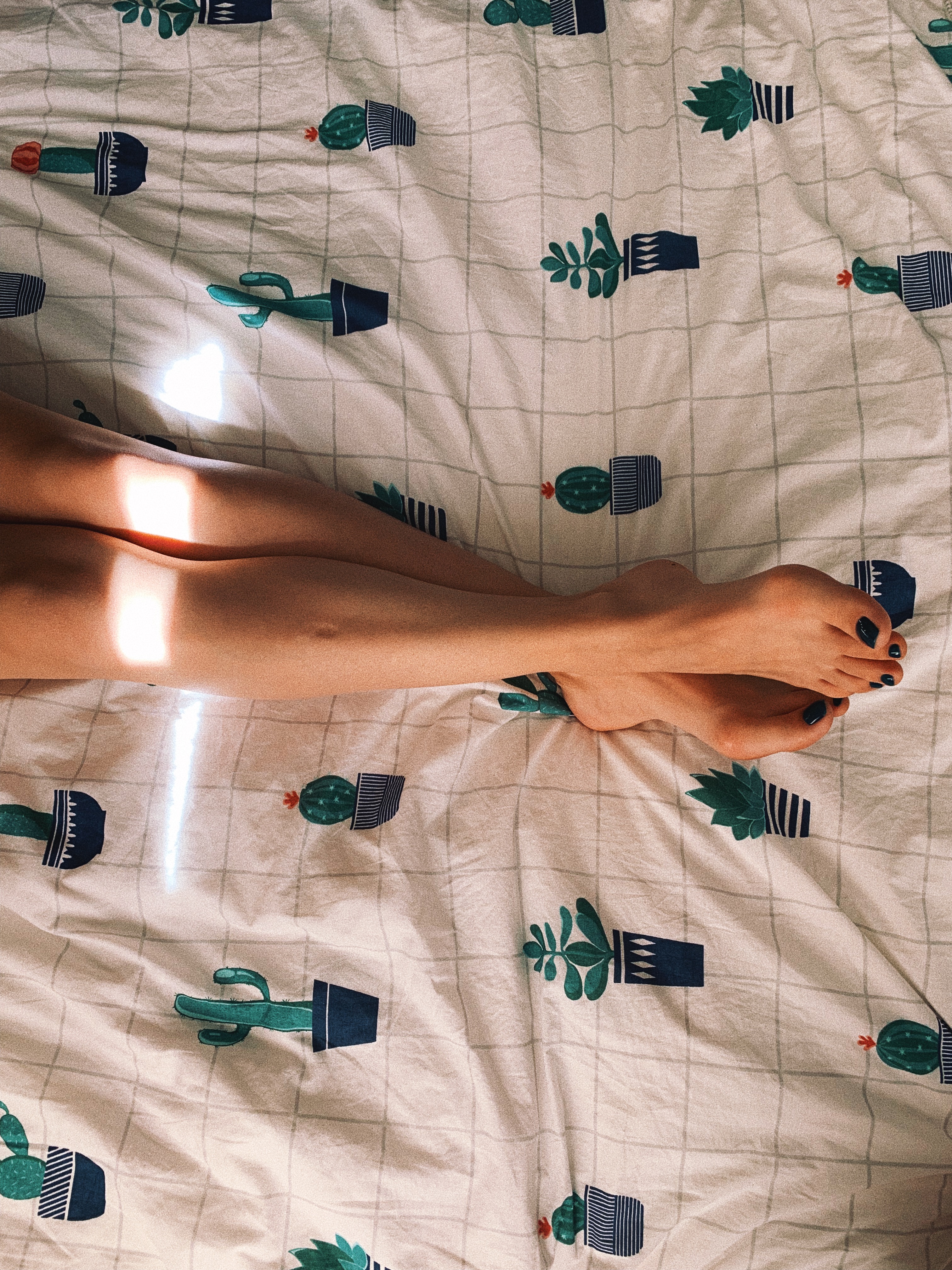 Мобильное фото: случайное красивое из повседневной жизни