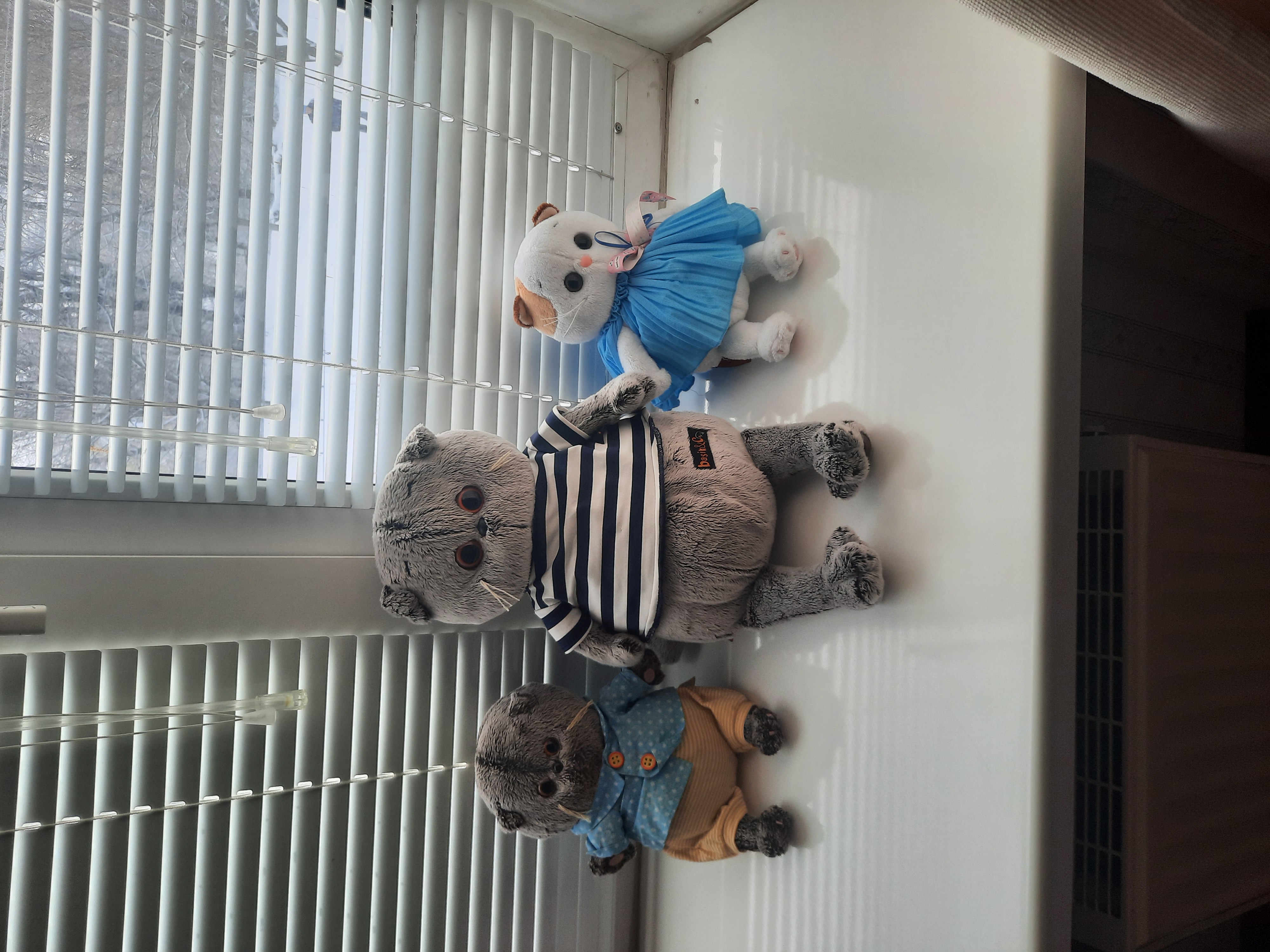 Как я коллекционирую мягкие игрушки — котов Басиков