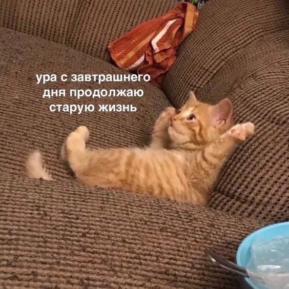 Я планирую читать книги из своего списка ради удовольствия