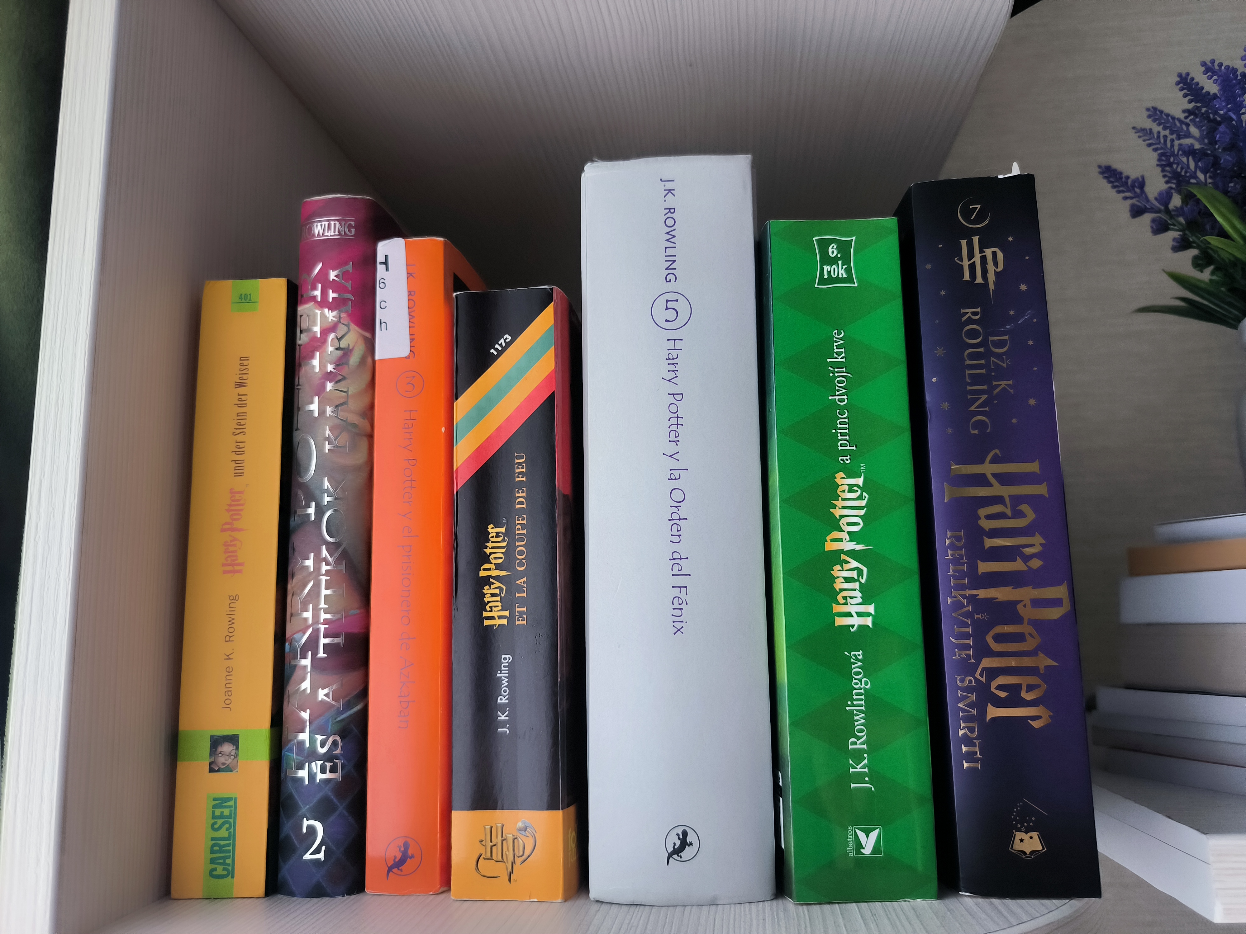 Планы поменялись, но это не беда: как изучение сербского стало отнимать у меня неприлично много времени