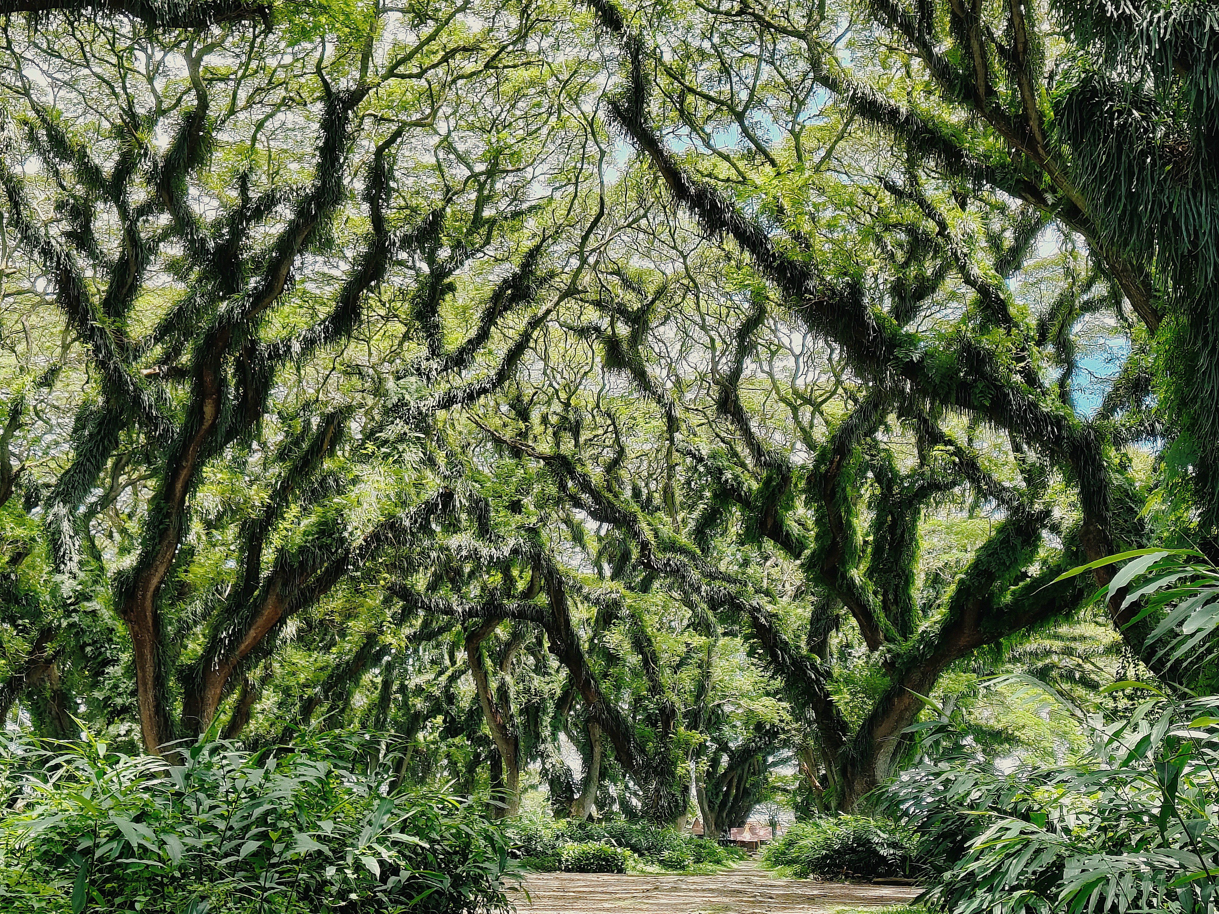 Фотоальбом: как я съездила в Восточную Яву в феврале 2026 года