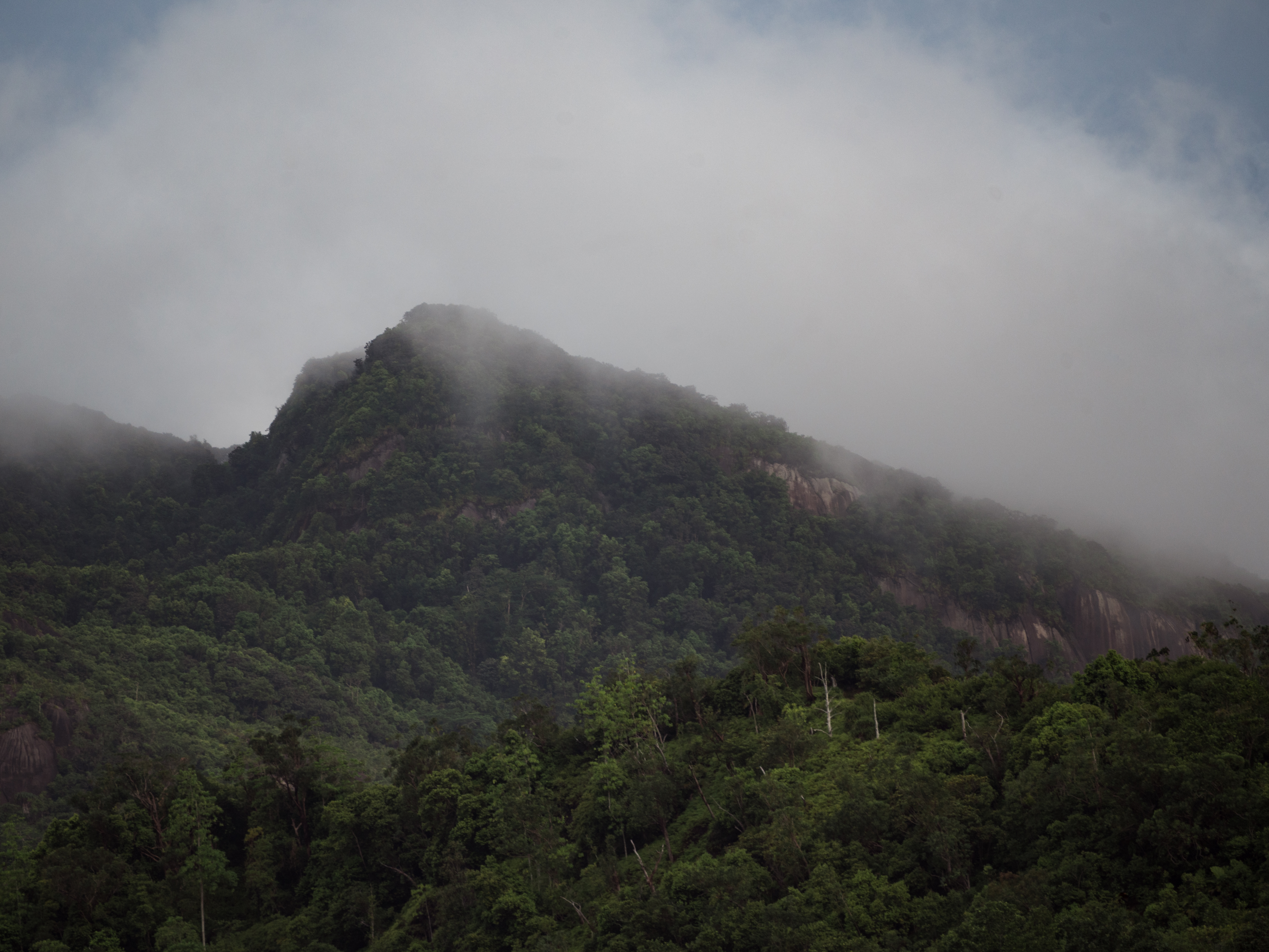 Фотоальбом: как я съездил на Сейшельские острова в августе 2025 года