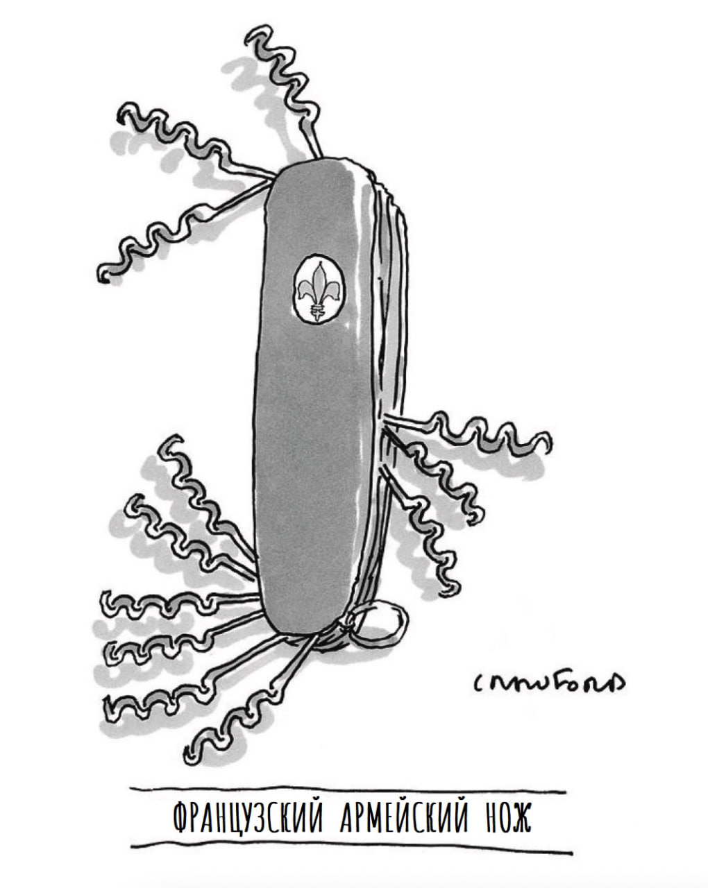 Моя анкета: Хозяйка бордер-колли