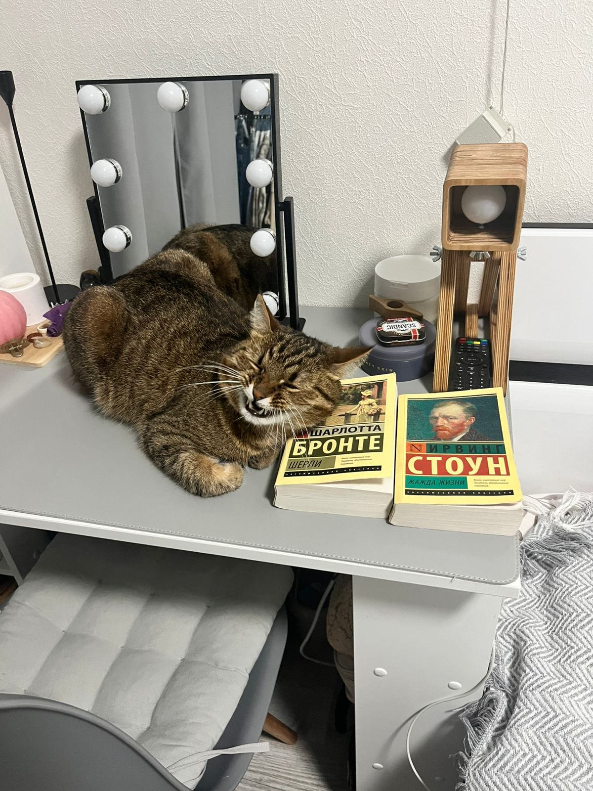 Фото питомца: Шерстик — активный читатель