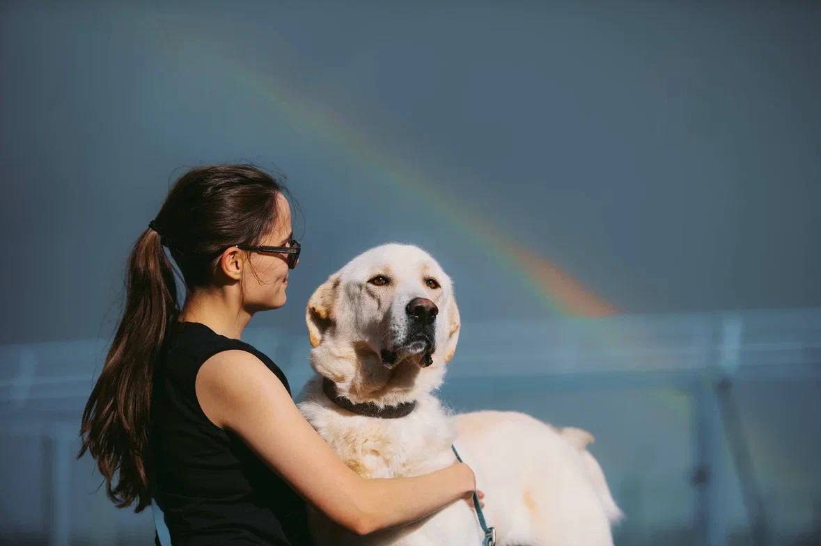 Почему приют — это не грустное место, а место, где у животных появляется шанс