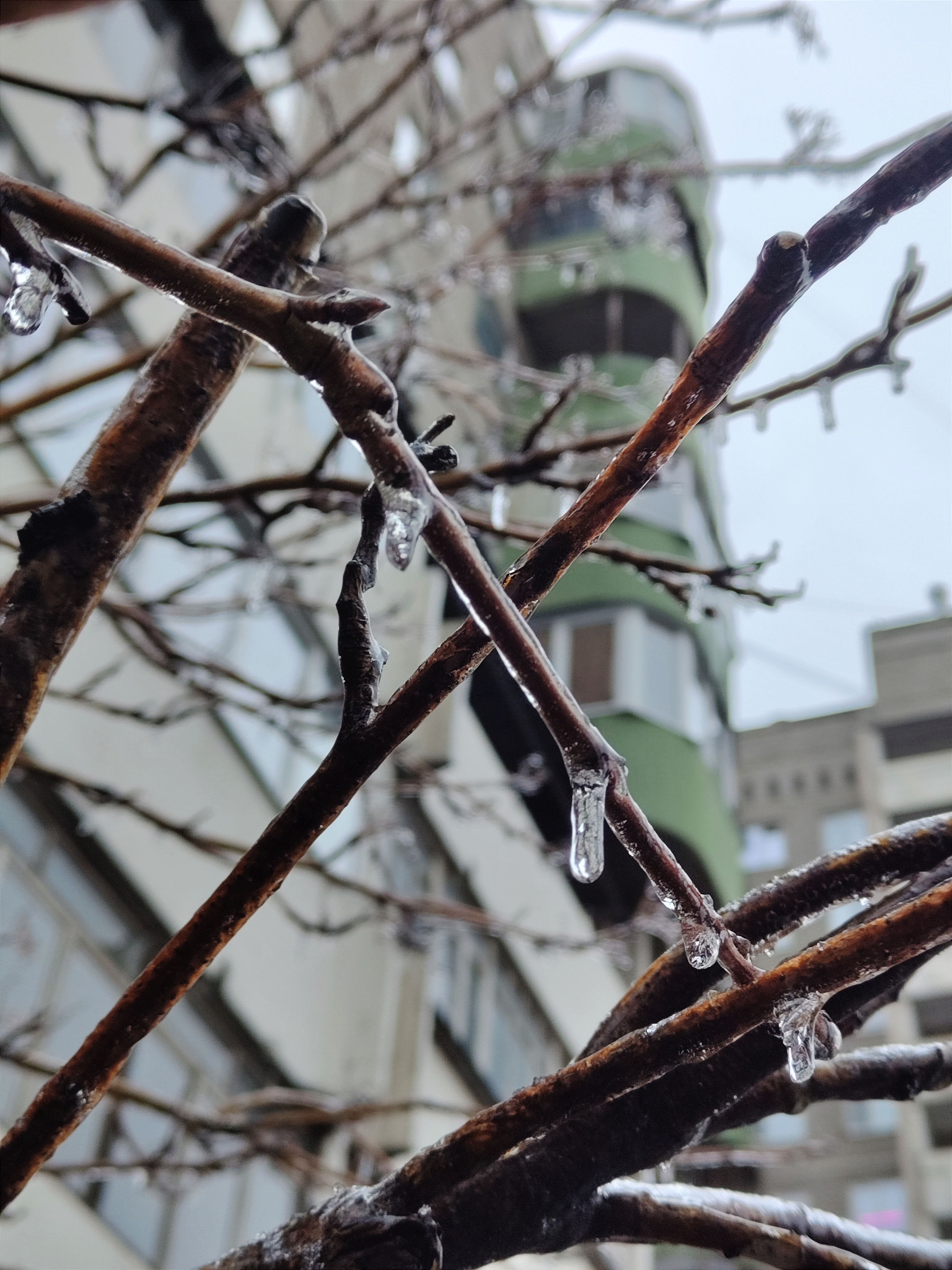 Мобильное фото: когда апрель все еще не уверен, что он весенний месяц