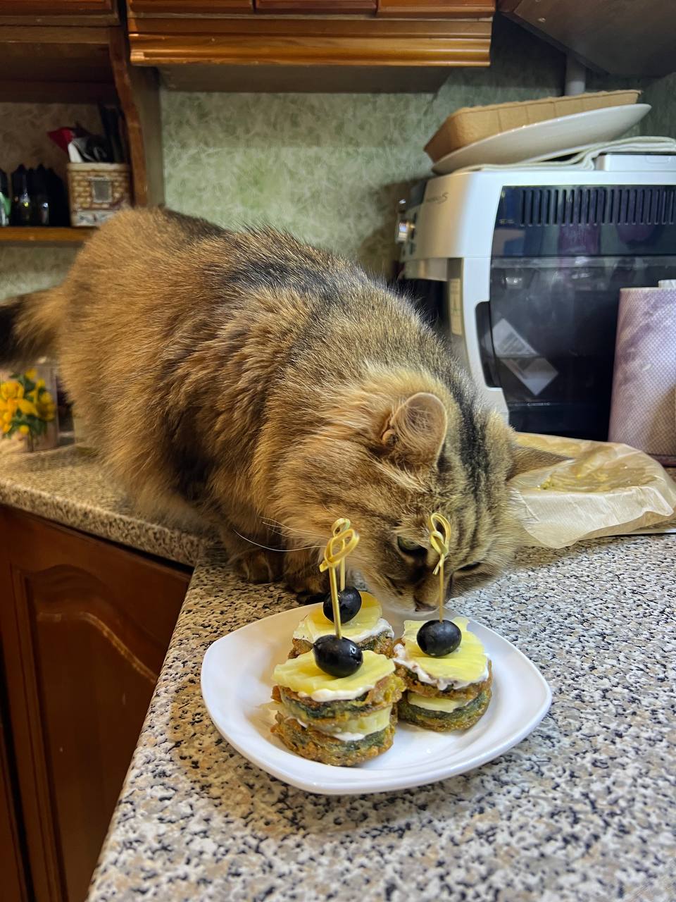 Фото питомца: кот контролирует приготовление еды