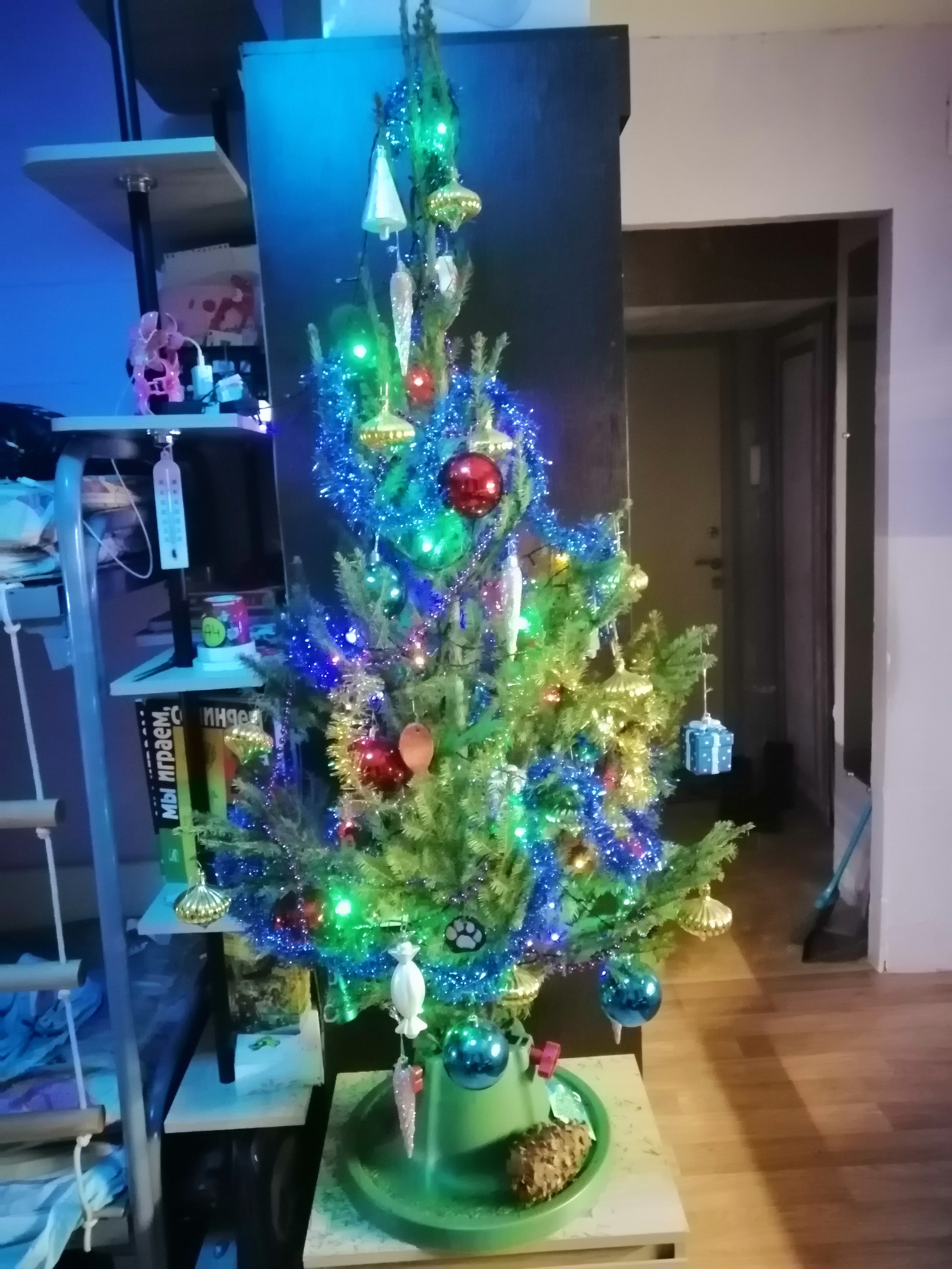 «Спасибо за возможности этого года»: письмо Деду Морозу № 15