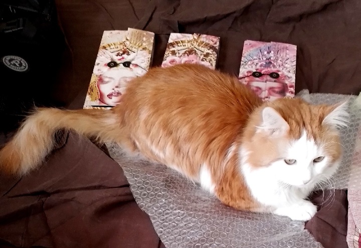 Фото питомца: кот Феликс помогает выбрать палетку теней