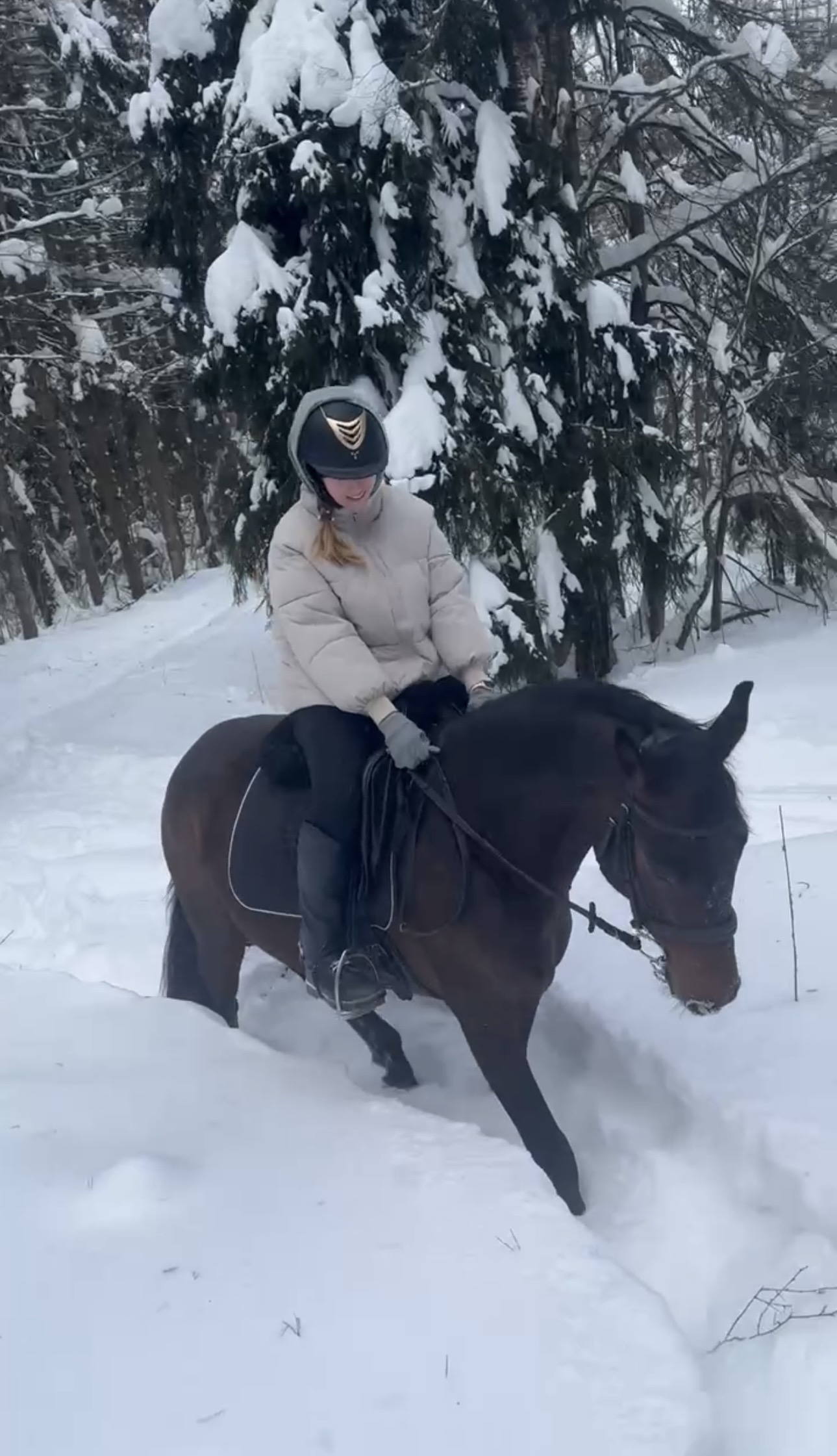 «Должна была стать колбасой»: путь Греты от спасения до манерной лошади