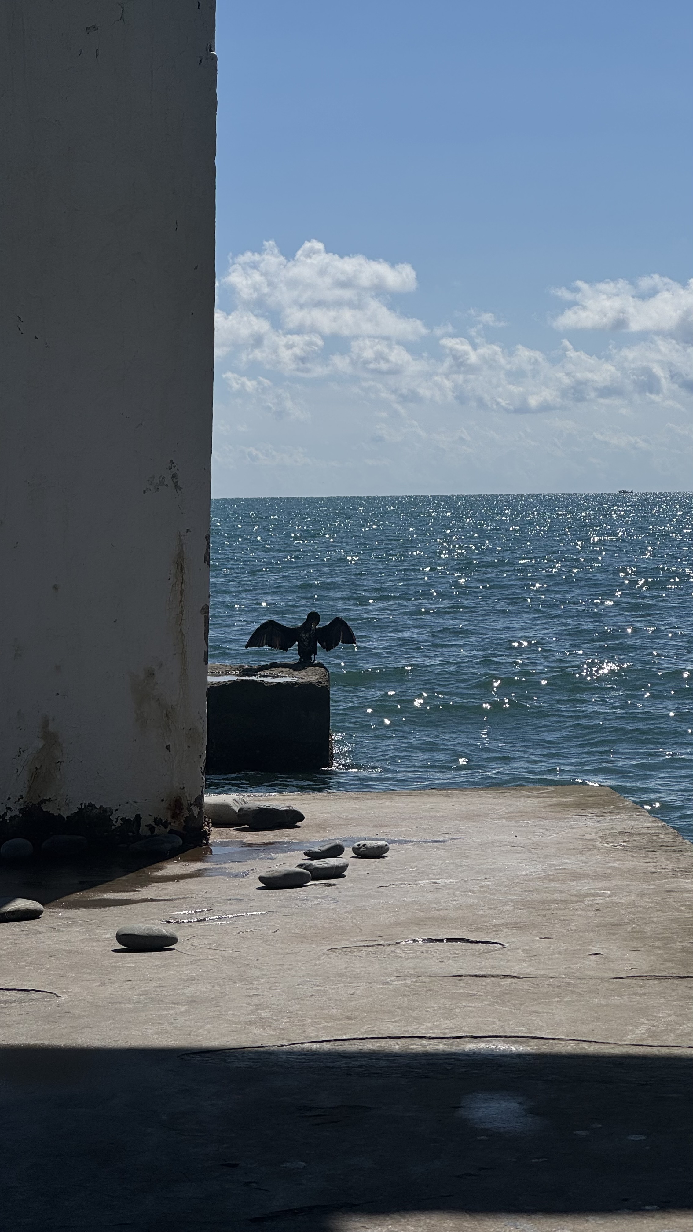 Собака, первая машина и освобождение от брекетов: мои итоги 2025 года