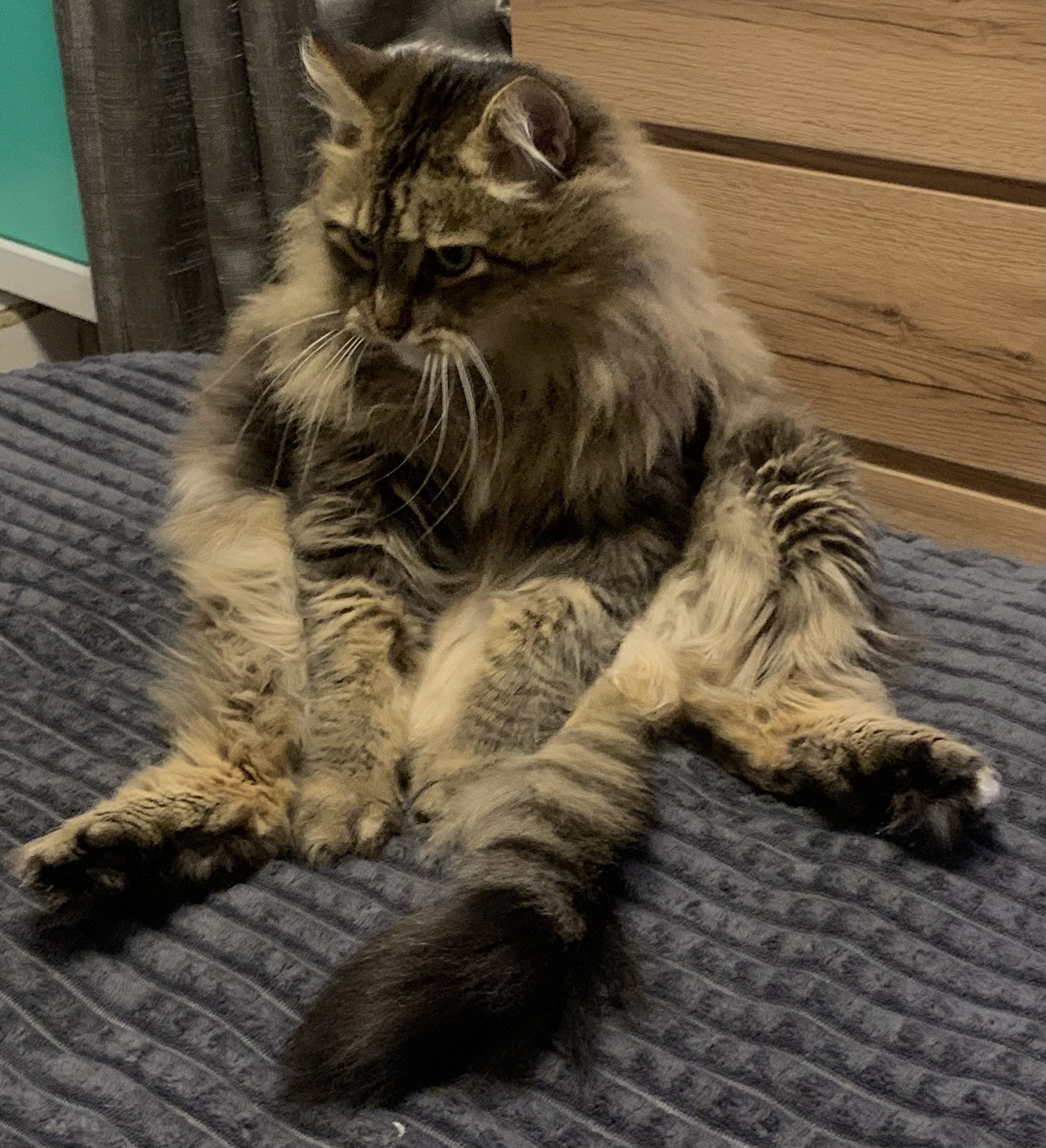 Как искать первую работу по специальности?