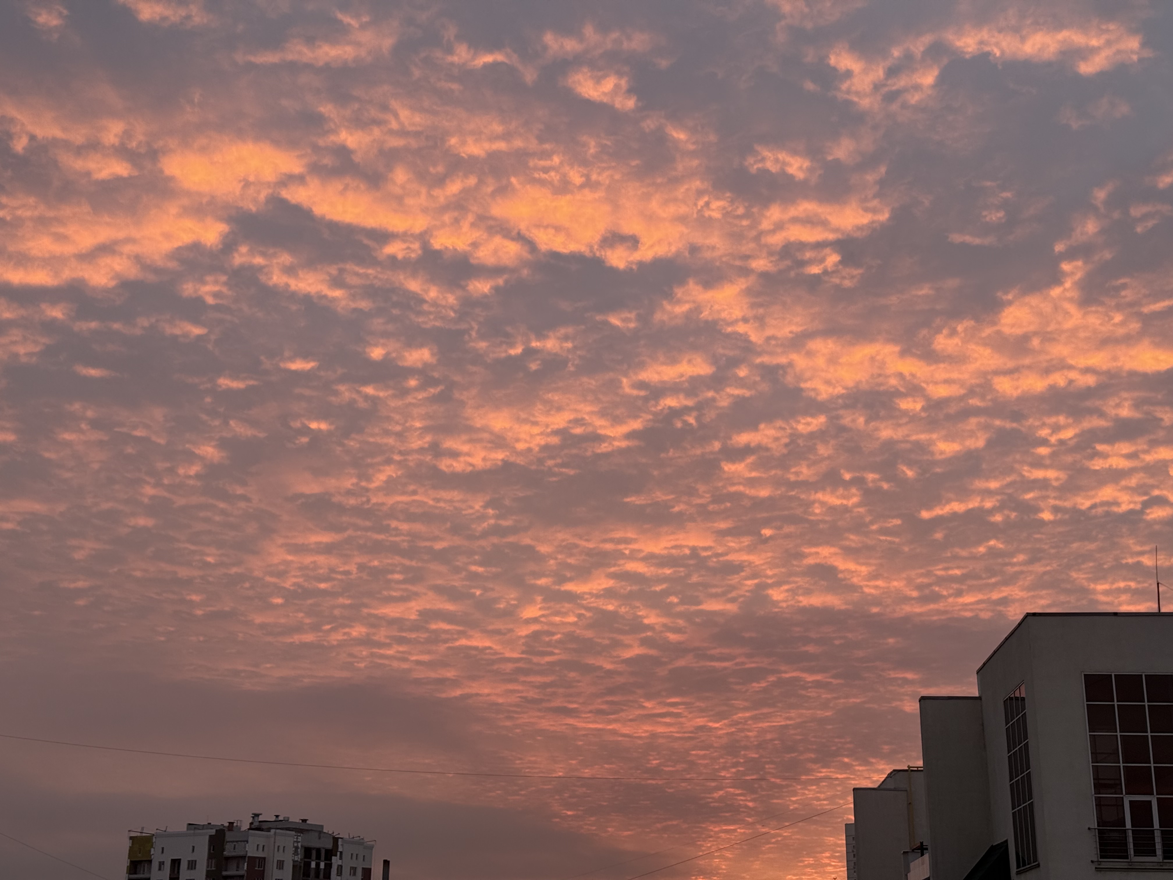 Как найти силы переехать в другую страну, чтобы почувствовать себя в безопасности?