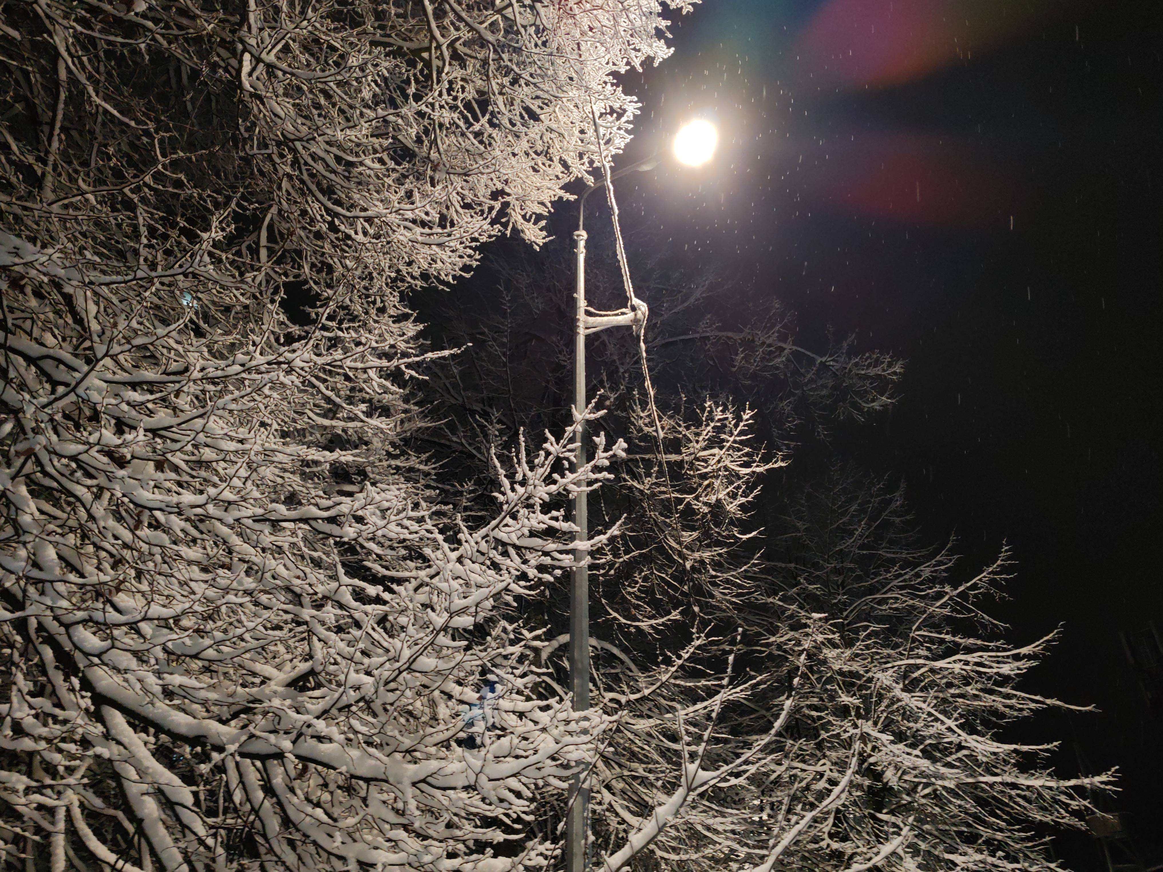 Мобильное фото: начало зимы в Дубне