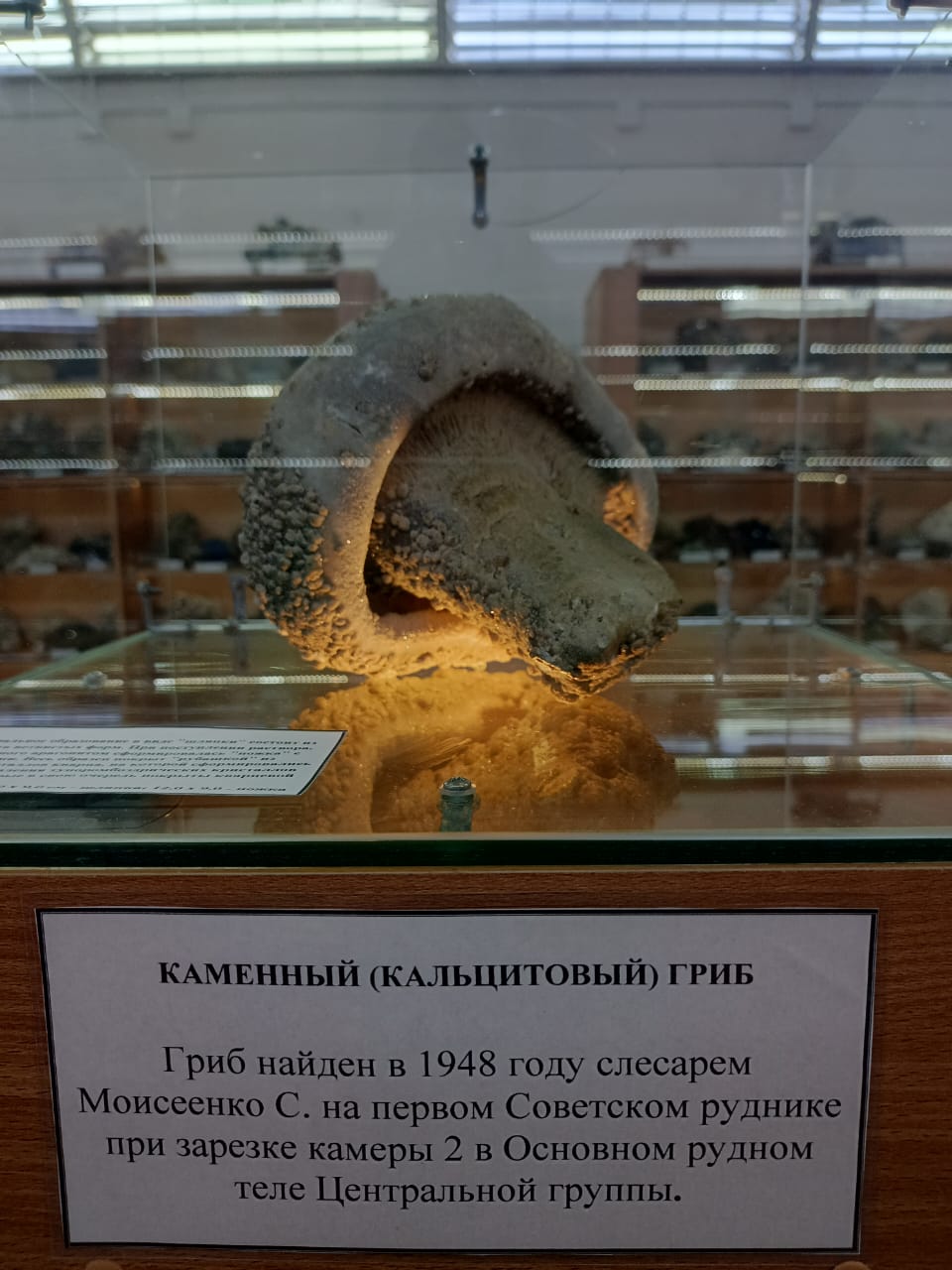 Фотоальбом: поезда в город горняков и НЛО Дальнегорск