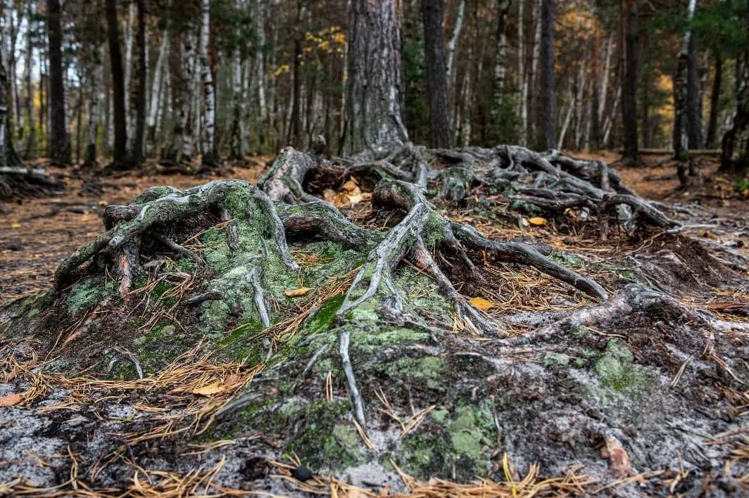 Чтение в удовольствие: что я прочла в октябре