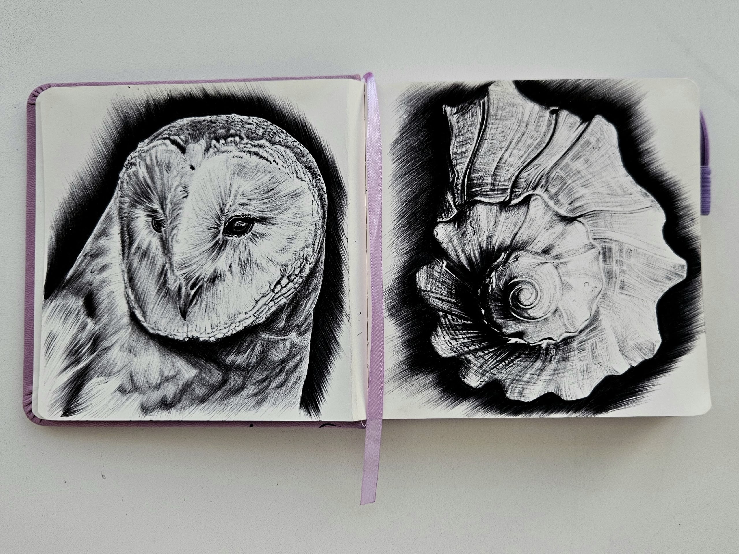 Мои рисунки: сова и ракушка черной ручкой