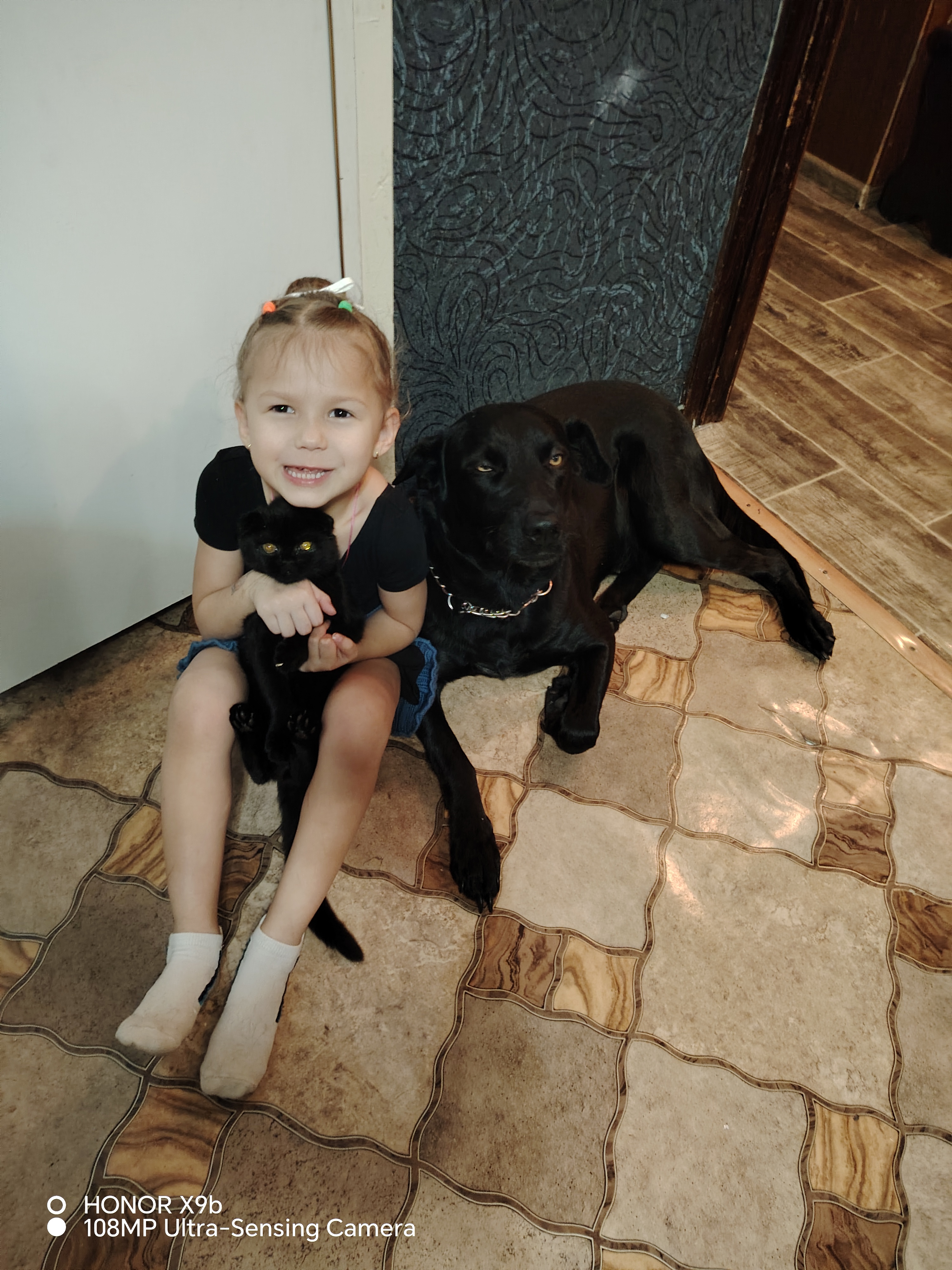 Фото питомцев: кот и собака со своей маленькой хозяйкой