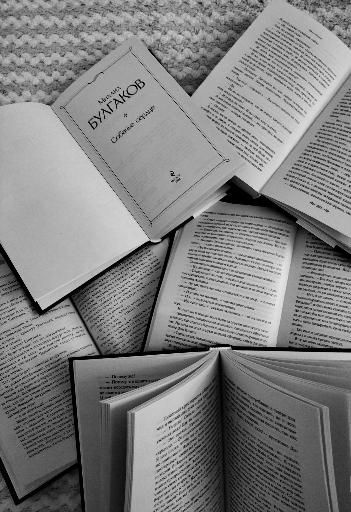 Рекомендую фильм «Собачье сердце»