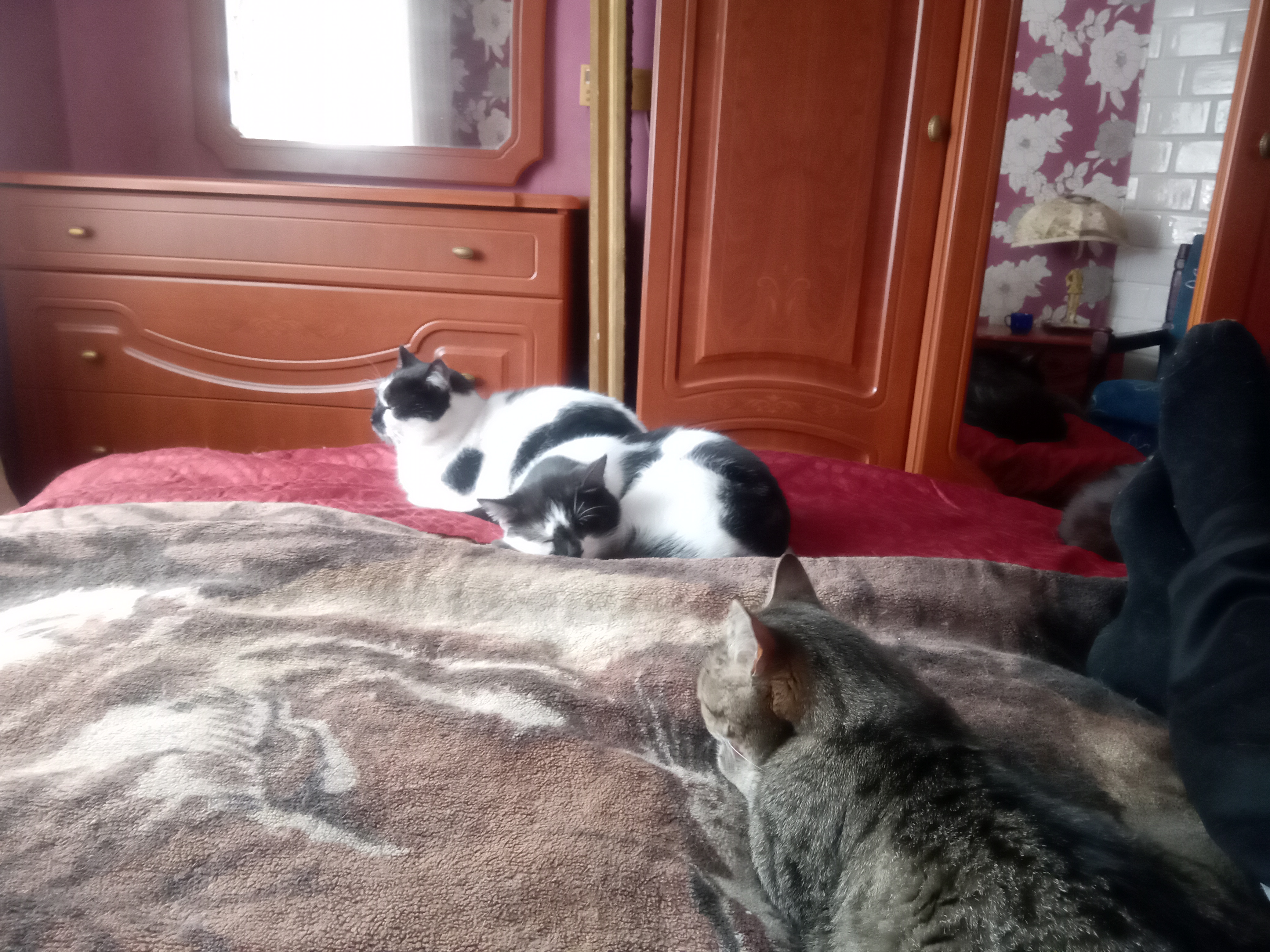 Фото питомцев: папа и дочка все время вместе