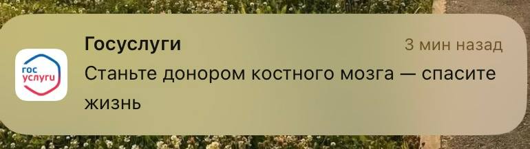 «Болезненного в этом ничего нет»: как я разобралась в процедуре донорства костного мозга