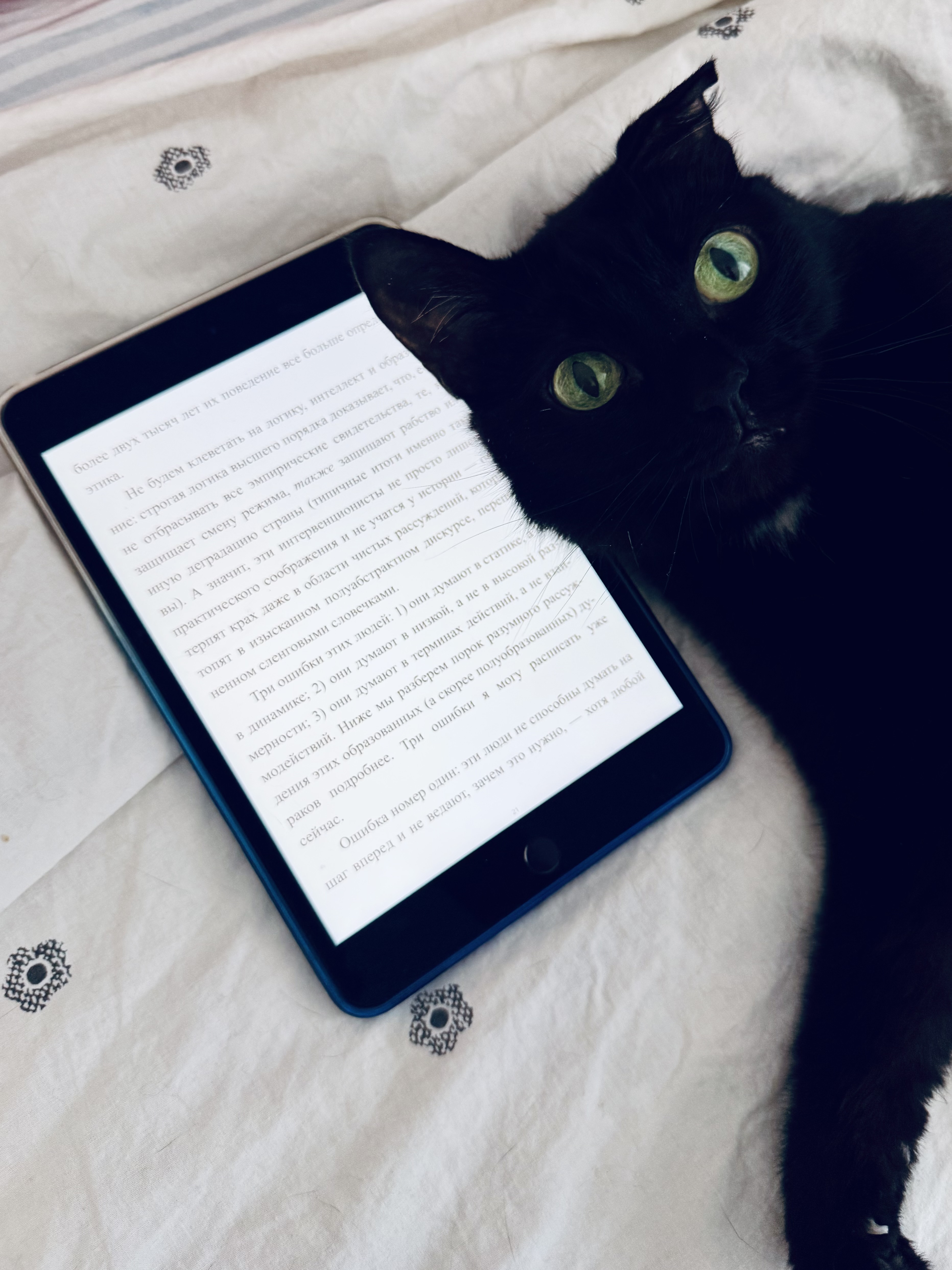 Книжный декабрь: запоздало оглядываюсь на книги, в которые сбегала от предновогодней суеты