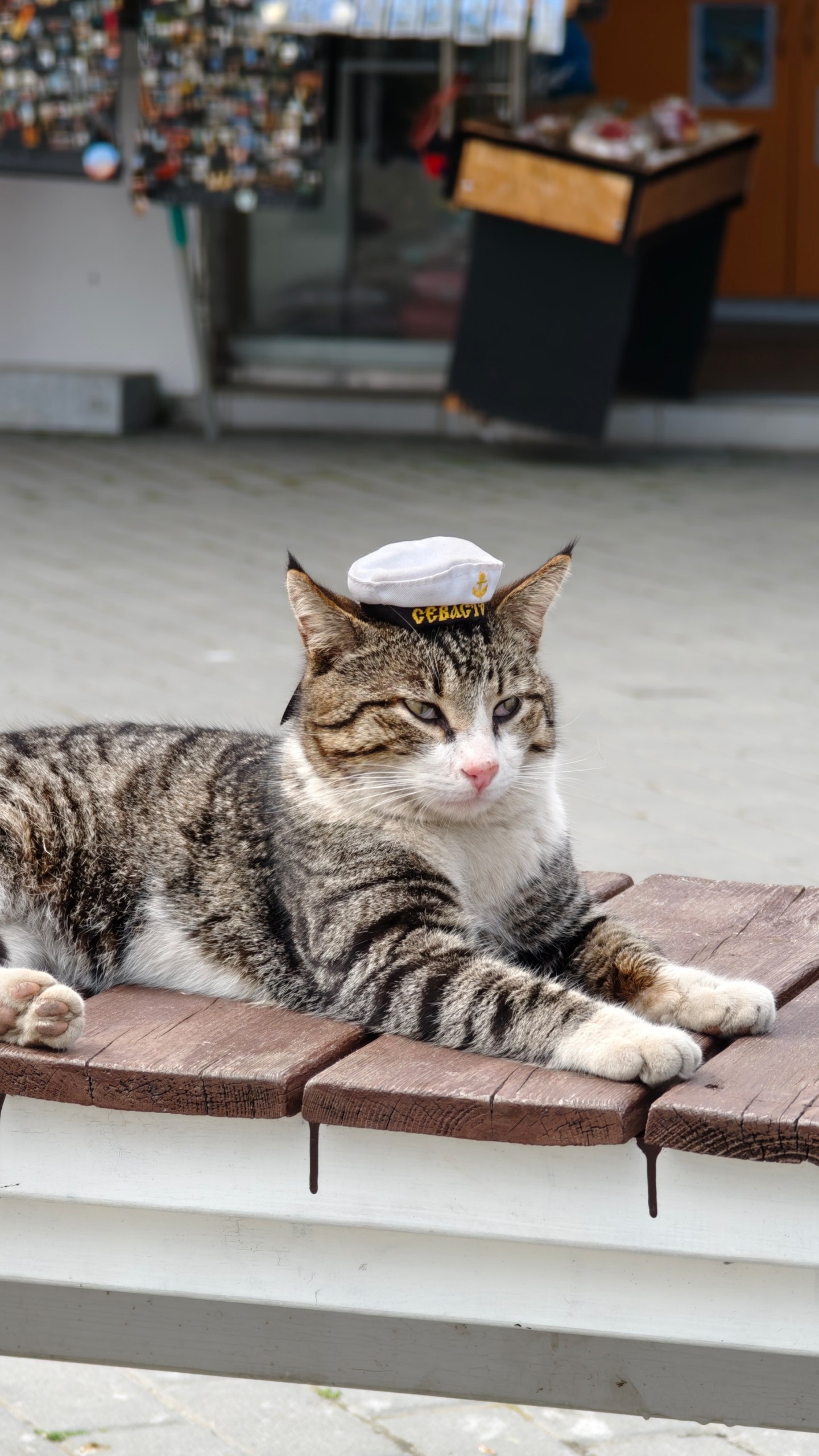 Мобильное фото: апрельские зарисовки из Севастополя